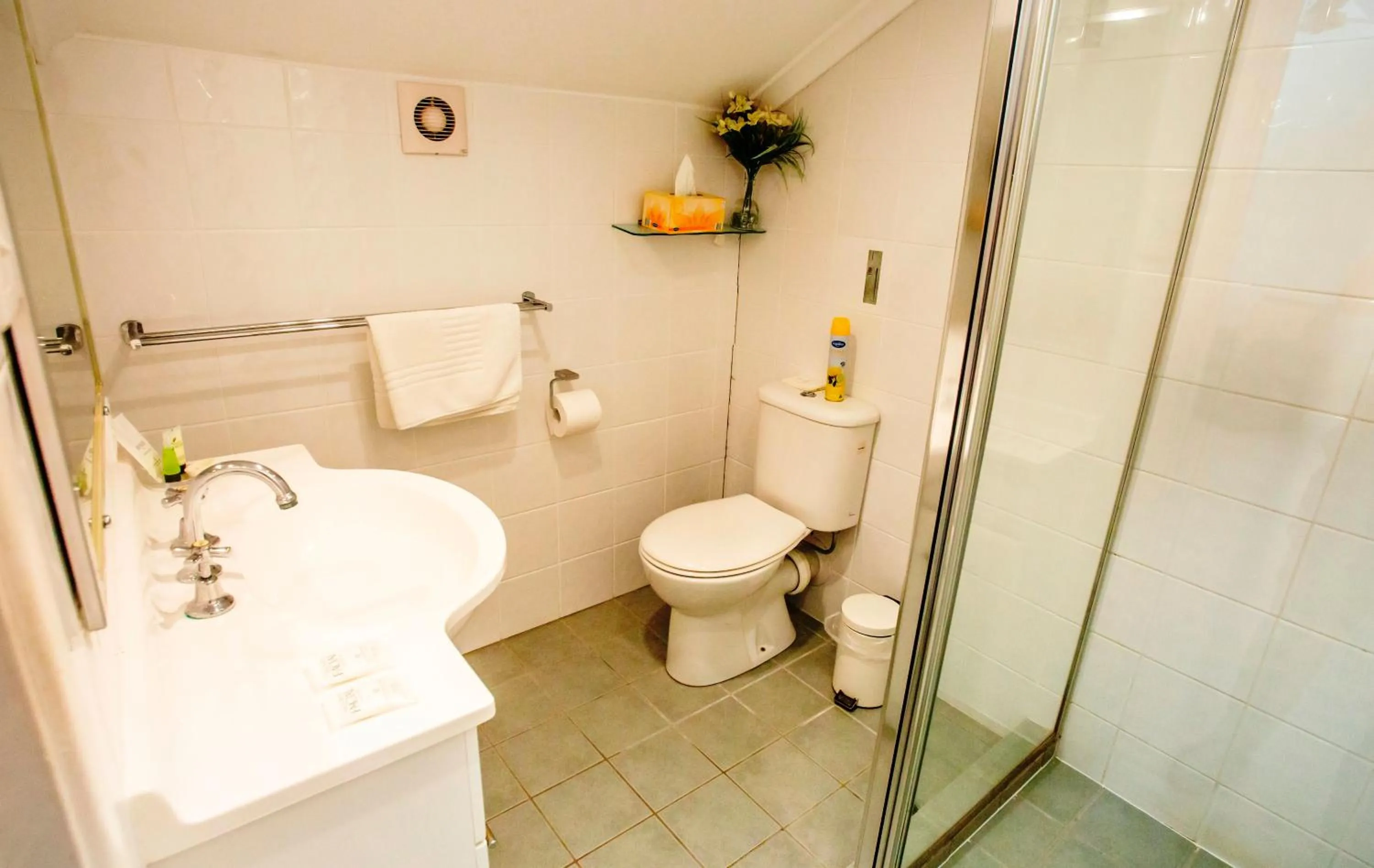 Bathroom in Ainslie Manor Guest House