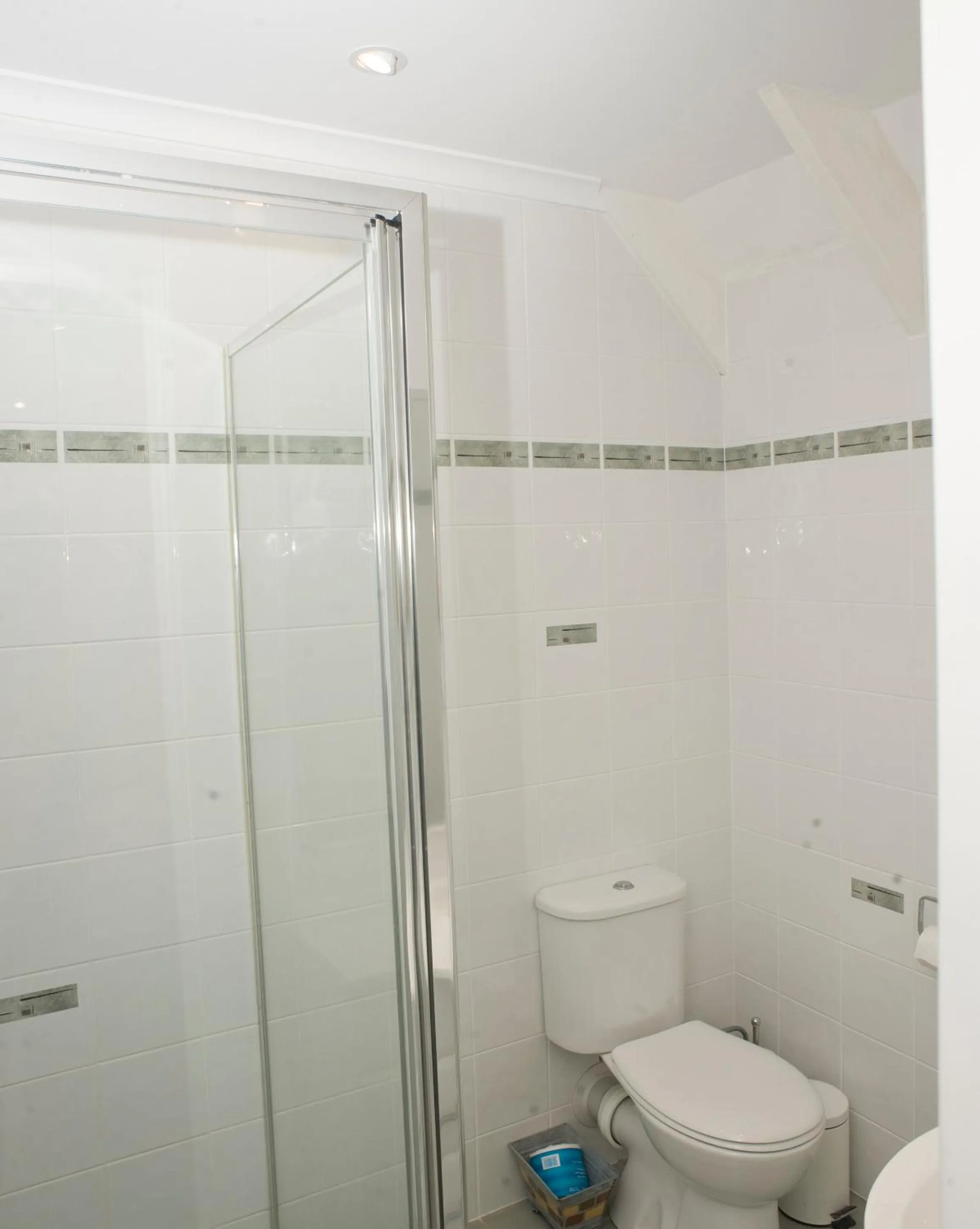 Toilet in Ainslie Manor Guest House