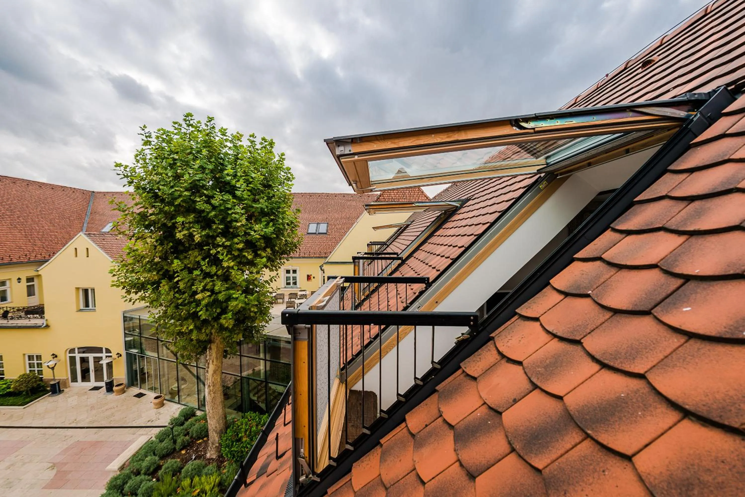Garden in Hotel Kristály Imperial