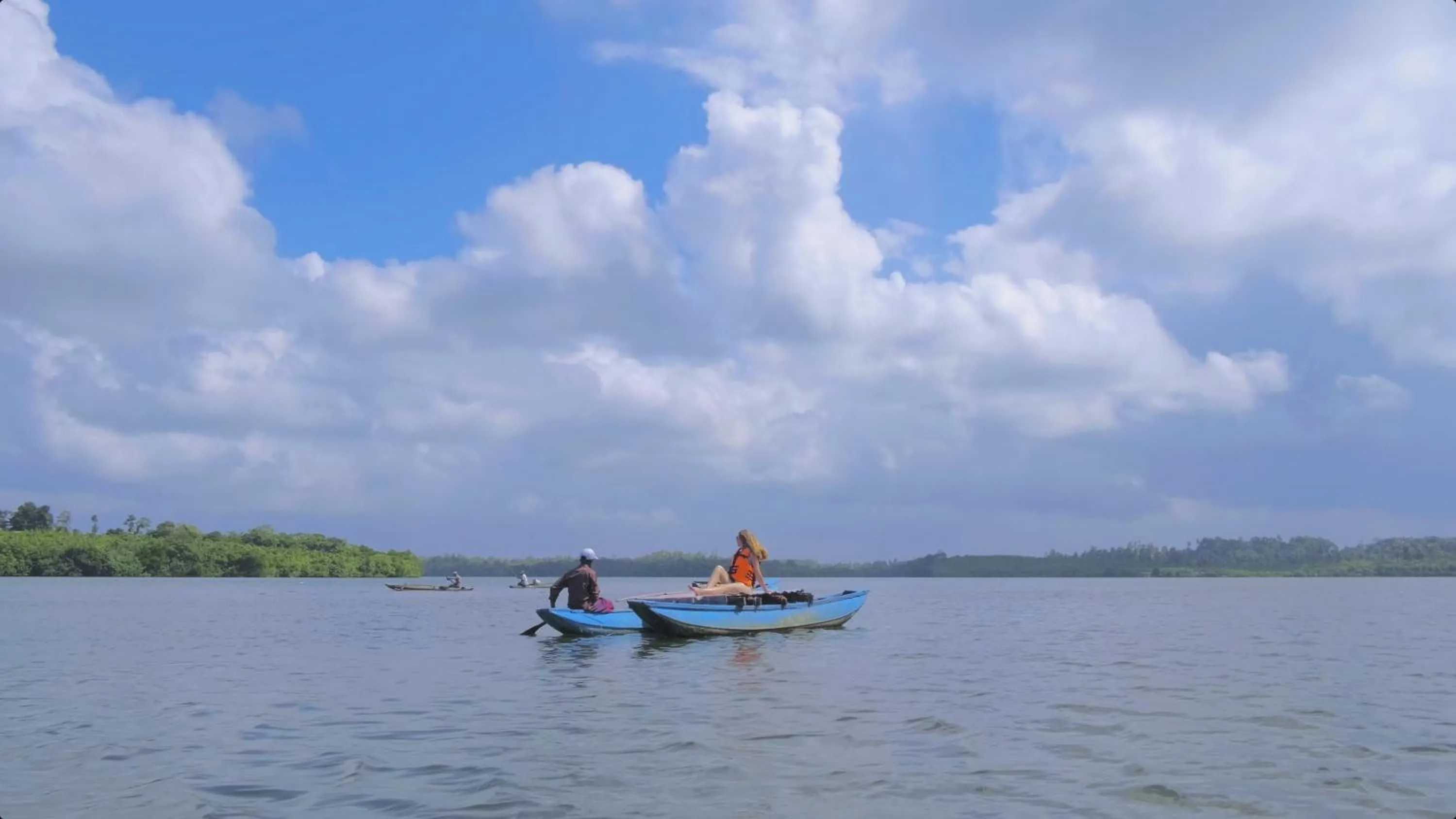 Natural landscape in 33 Lake Terrace