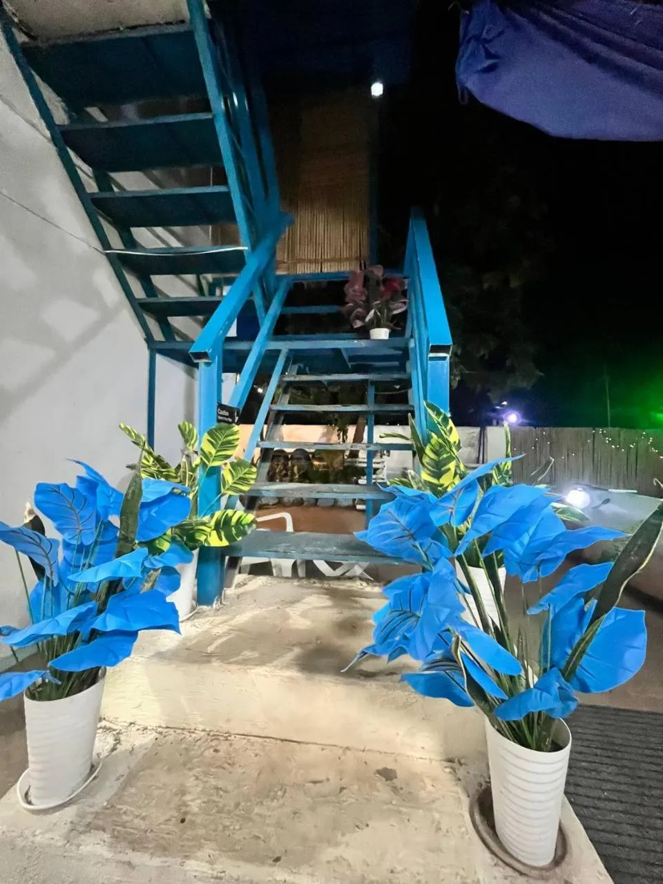 Casa Montemar Heights