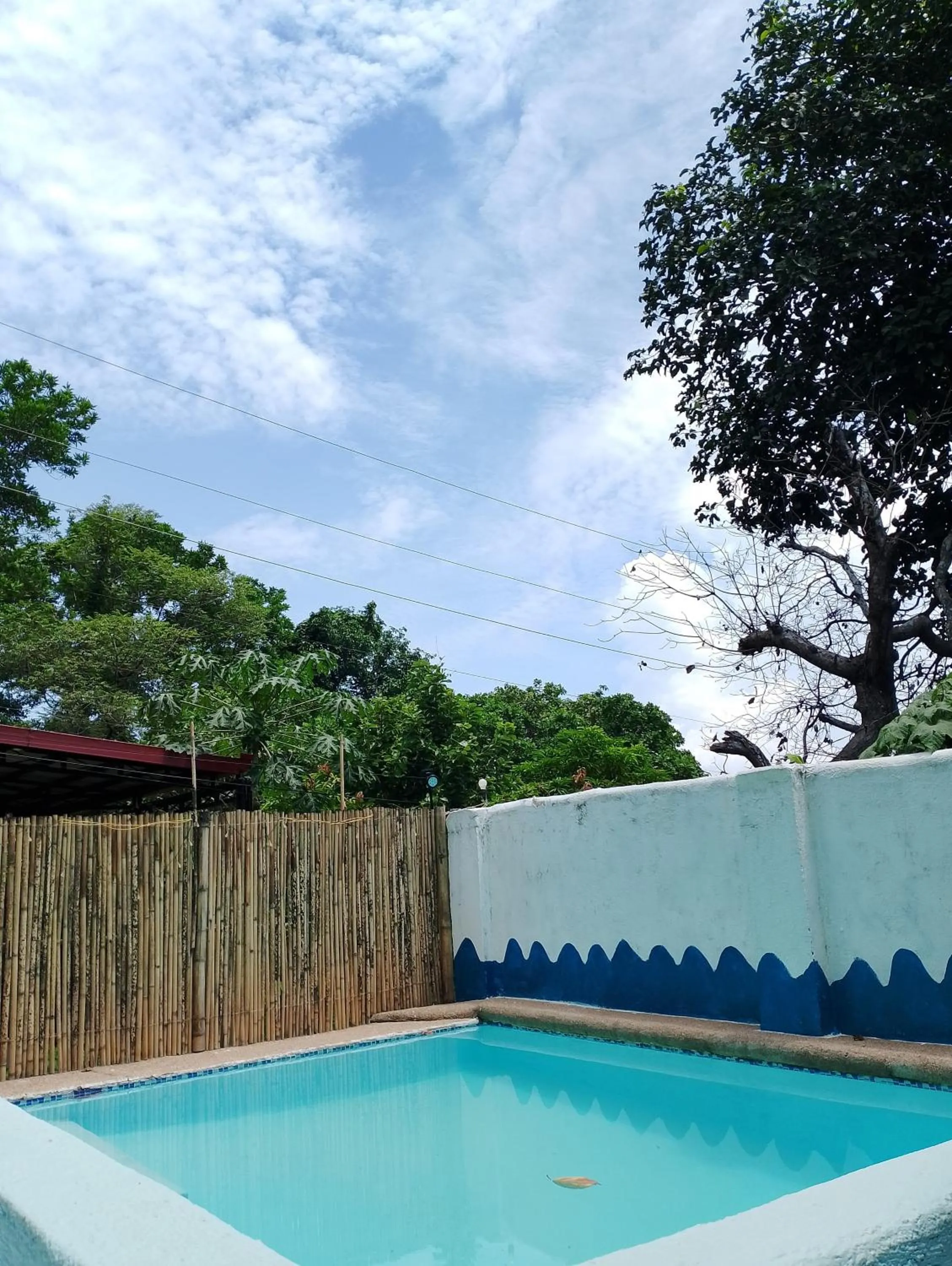 Swimming pool in Casa Montemar Heights