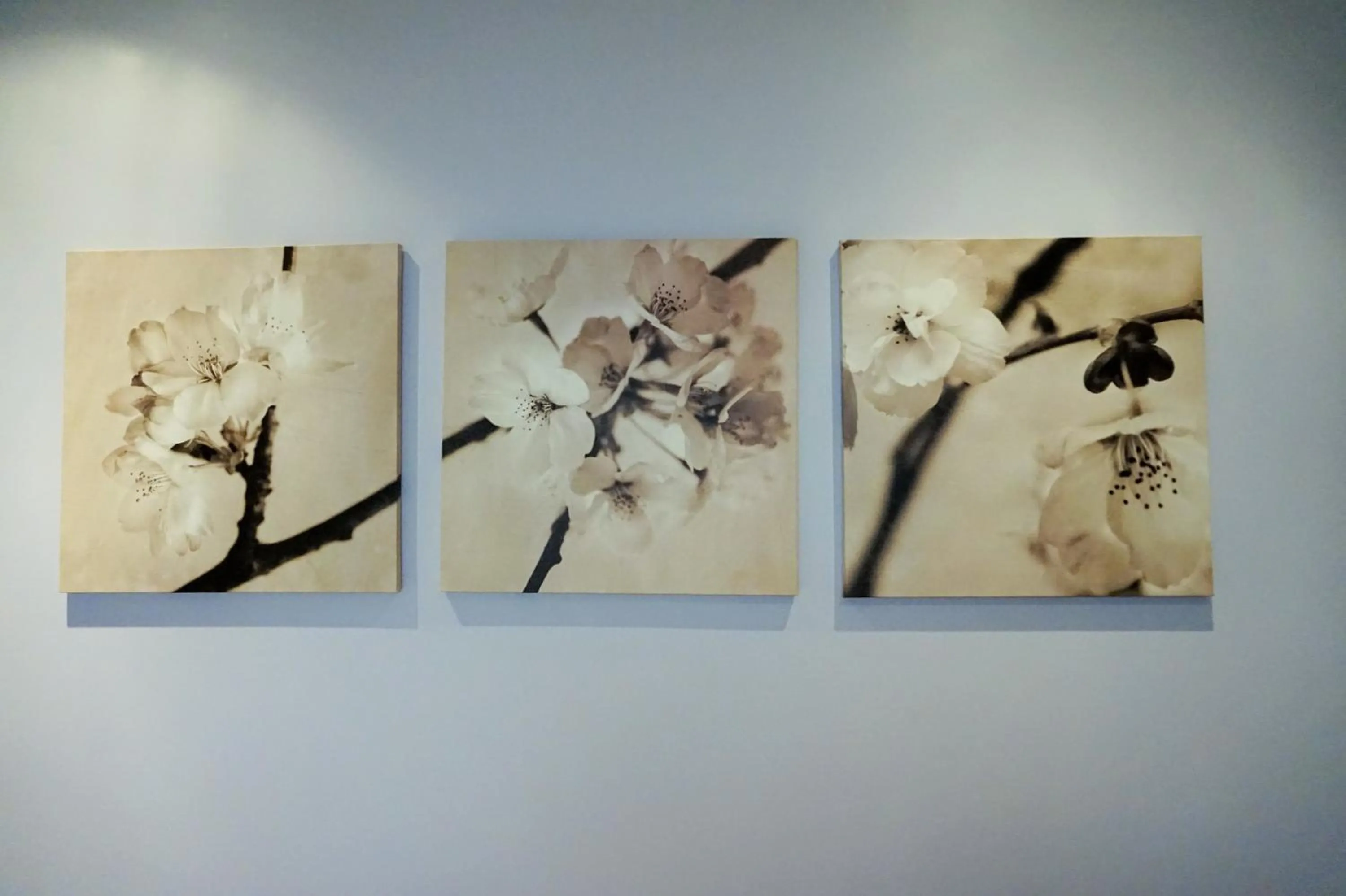 Other in Hotel de la Couronne