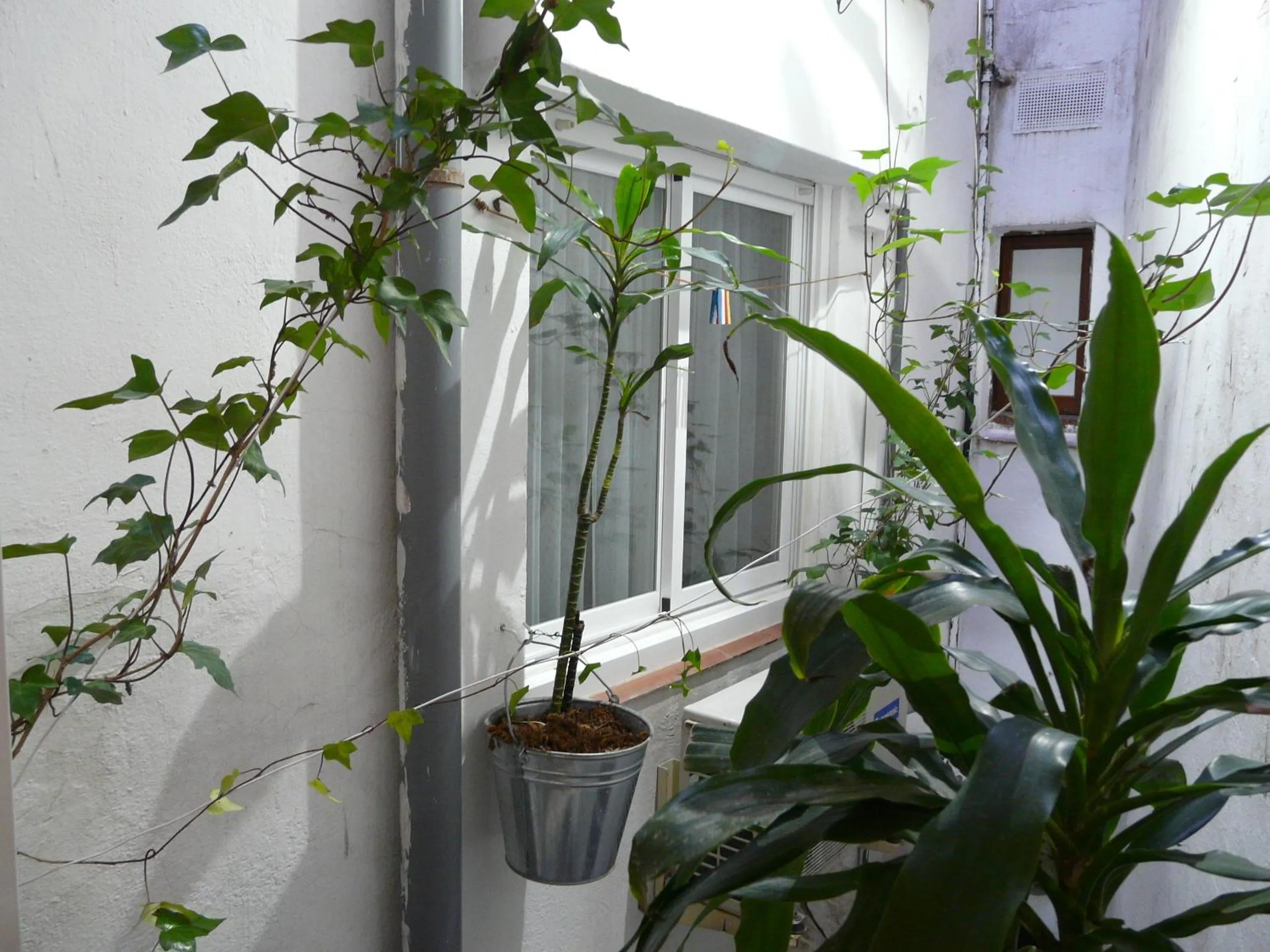 View (from property/room) in Hotel Alexandra Sitges