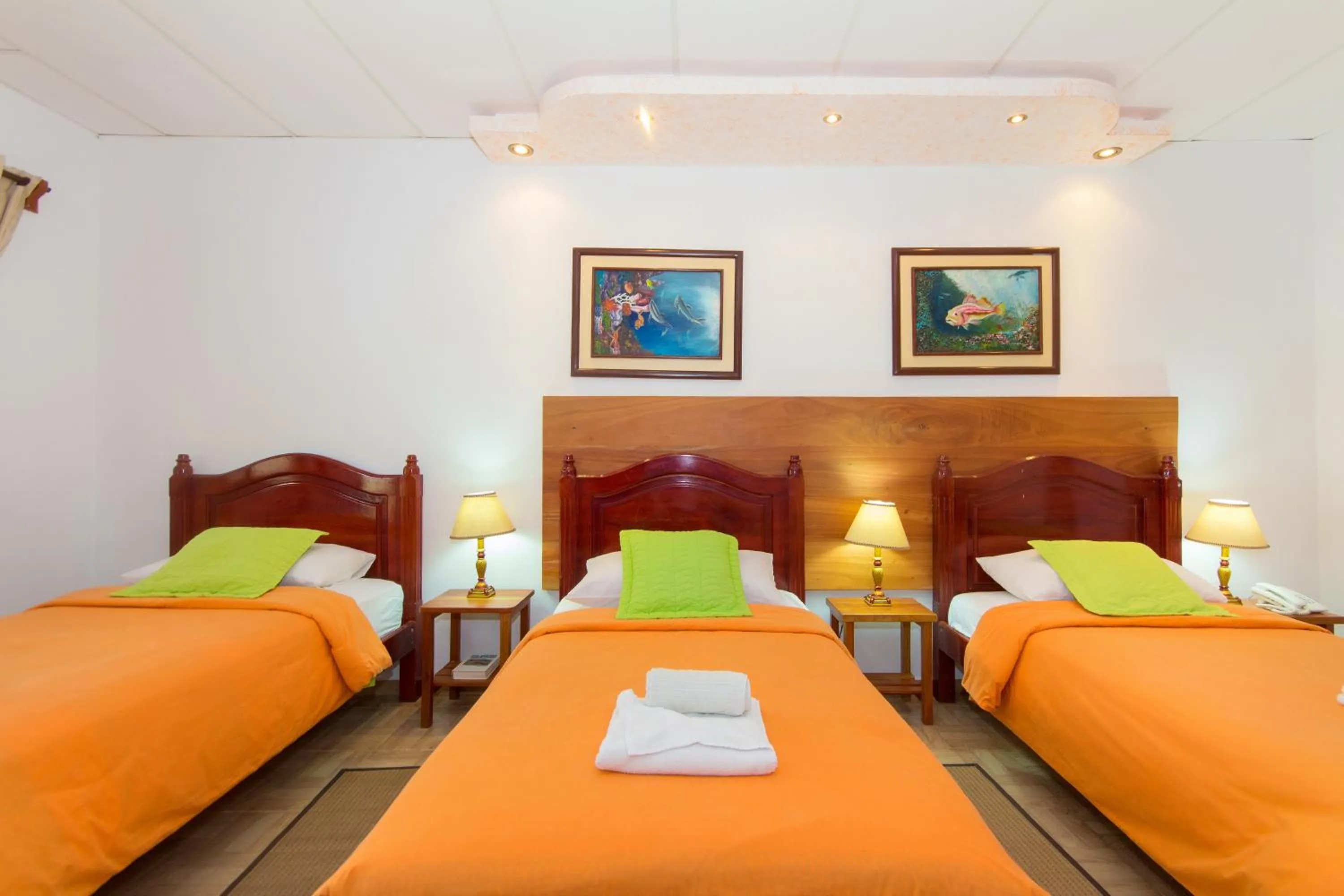 Photo of the whole room, Bed in Hotel Twin Galápagos