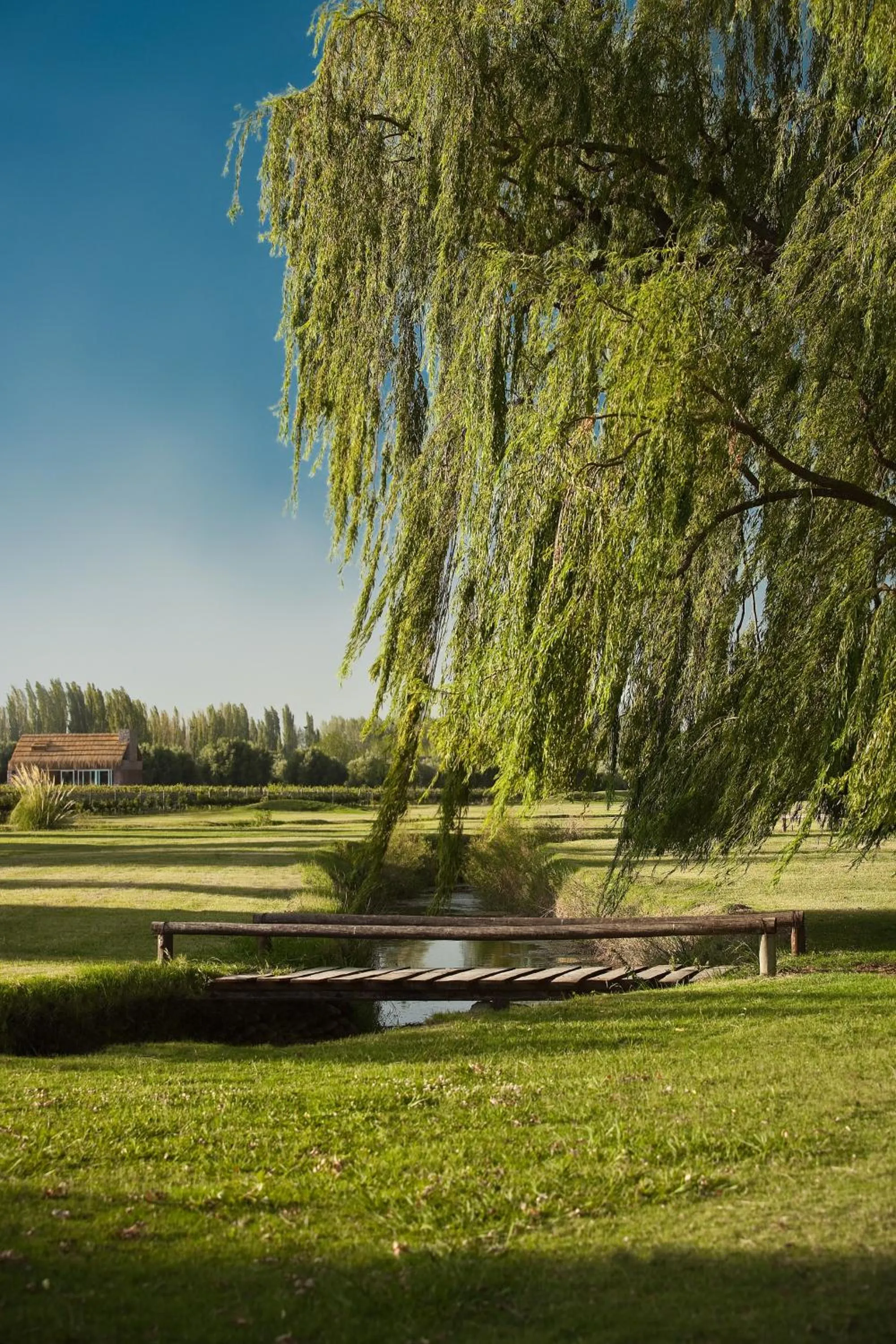 Natural landscape in Algodon Wine Estates & Champions Club