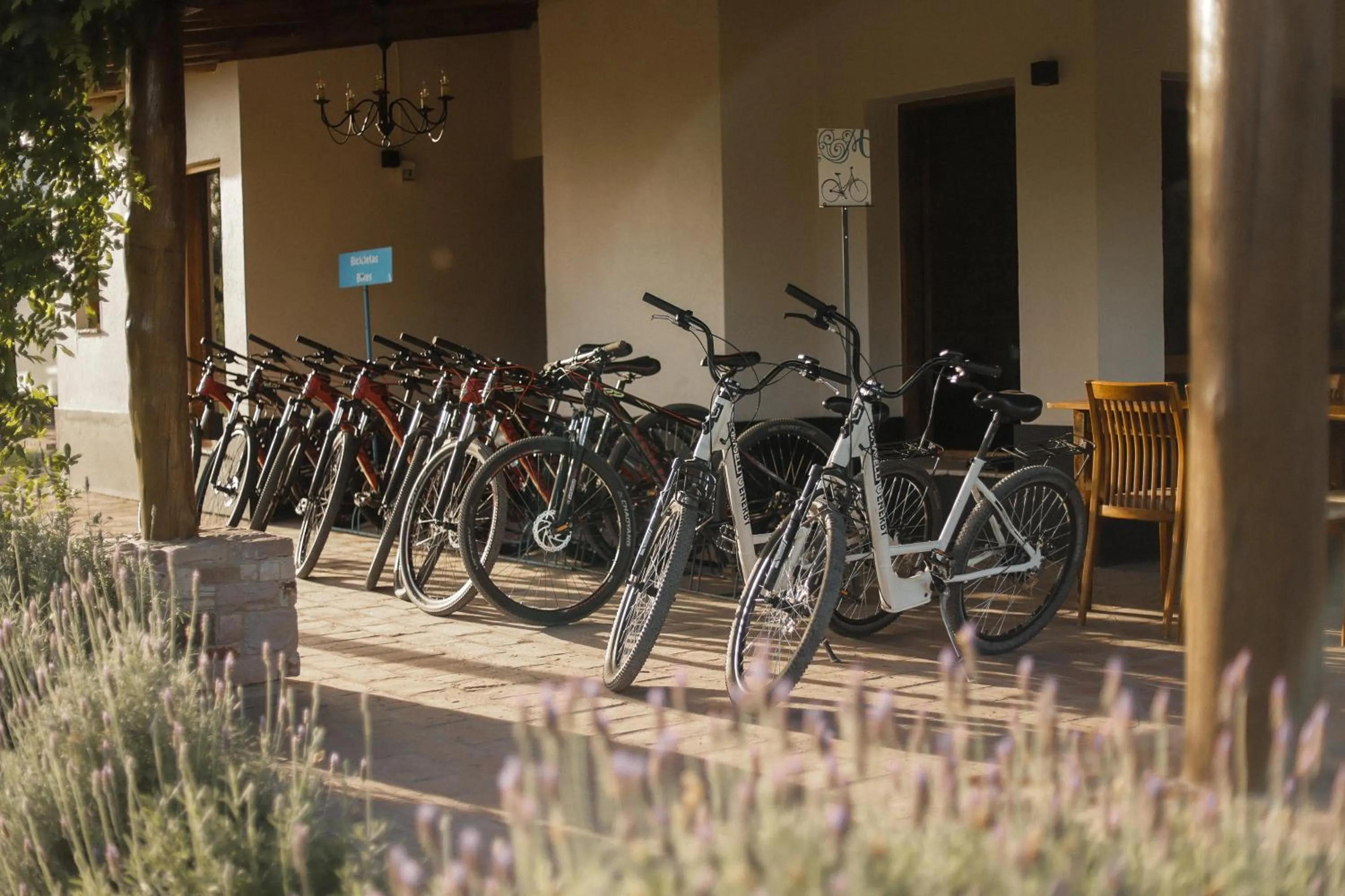 Cycling in Algodon Wine Estates & Champions Club