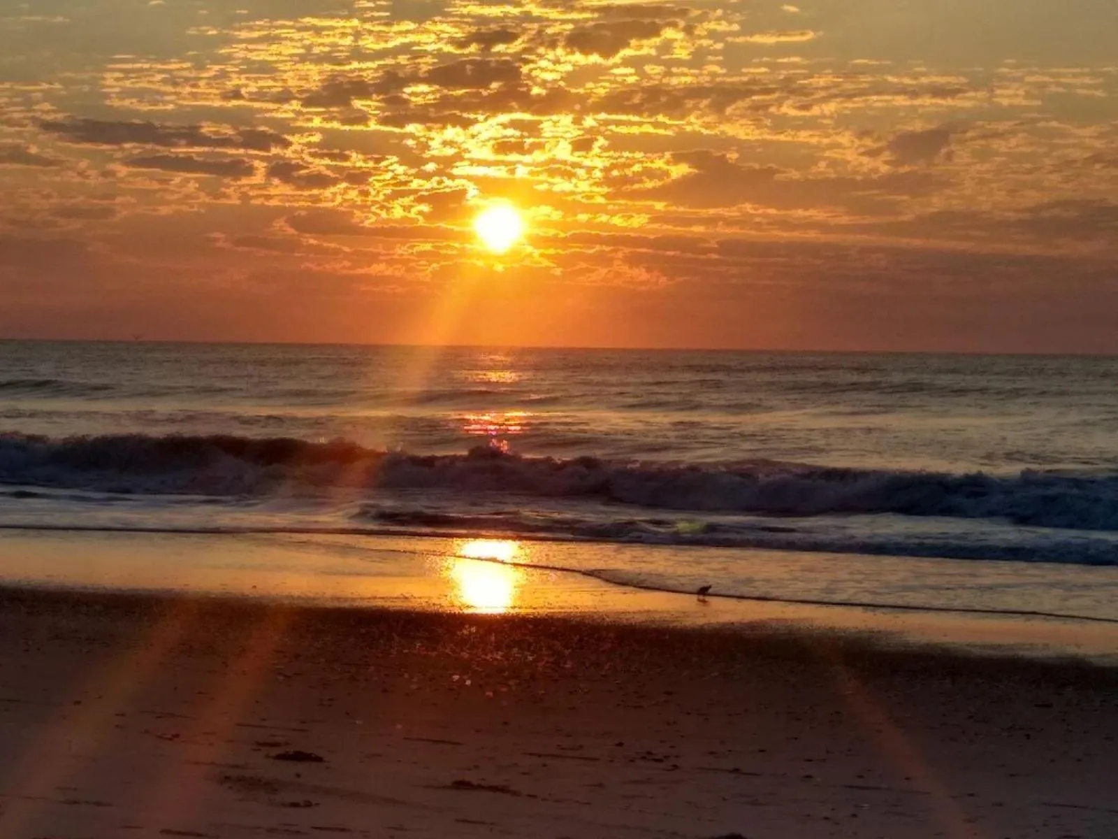 GREAT SAVANNAH Hospedaje