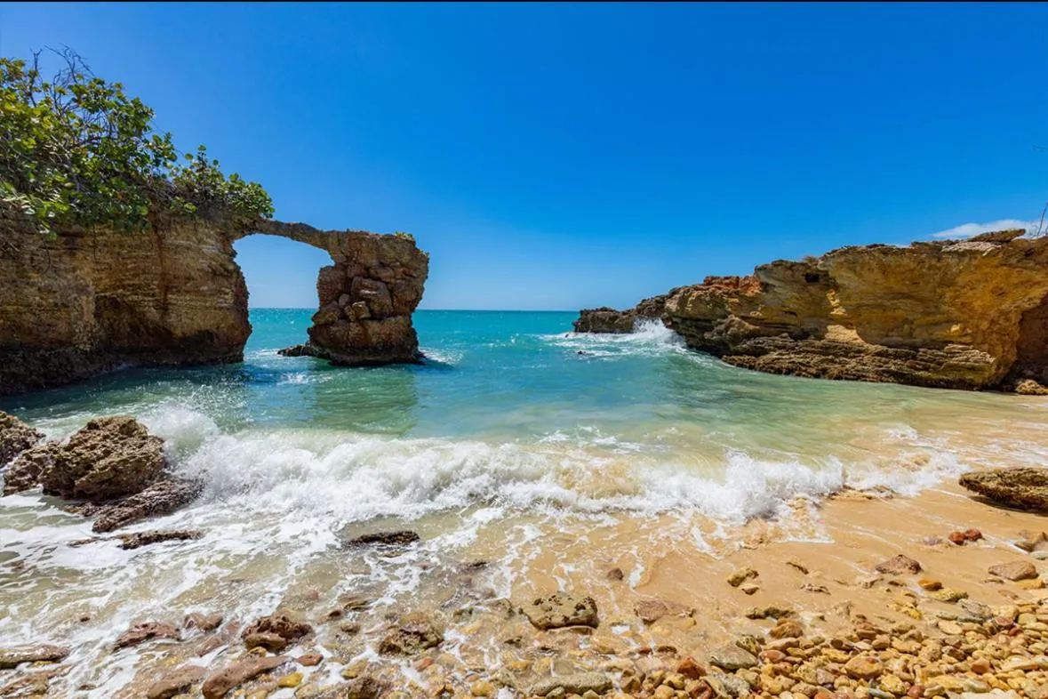 GREAT SAVANNAH Hospedaje