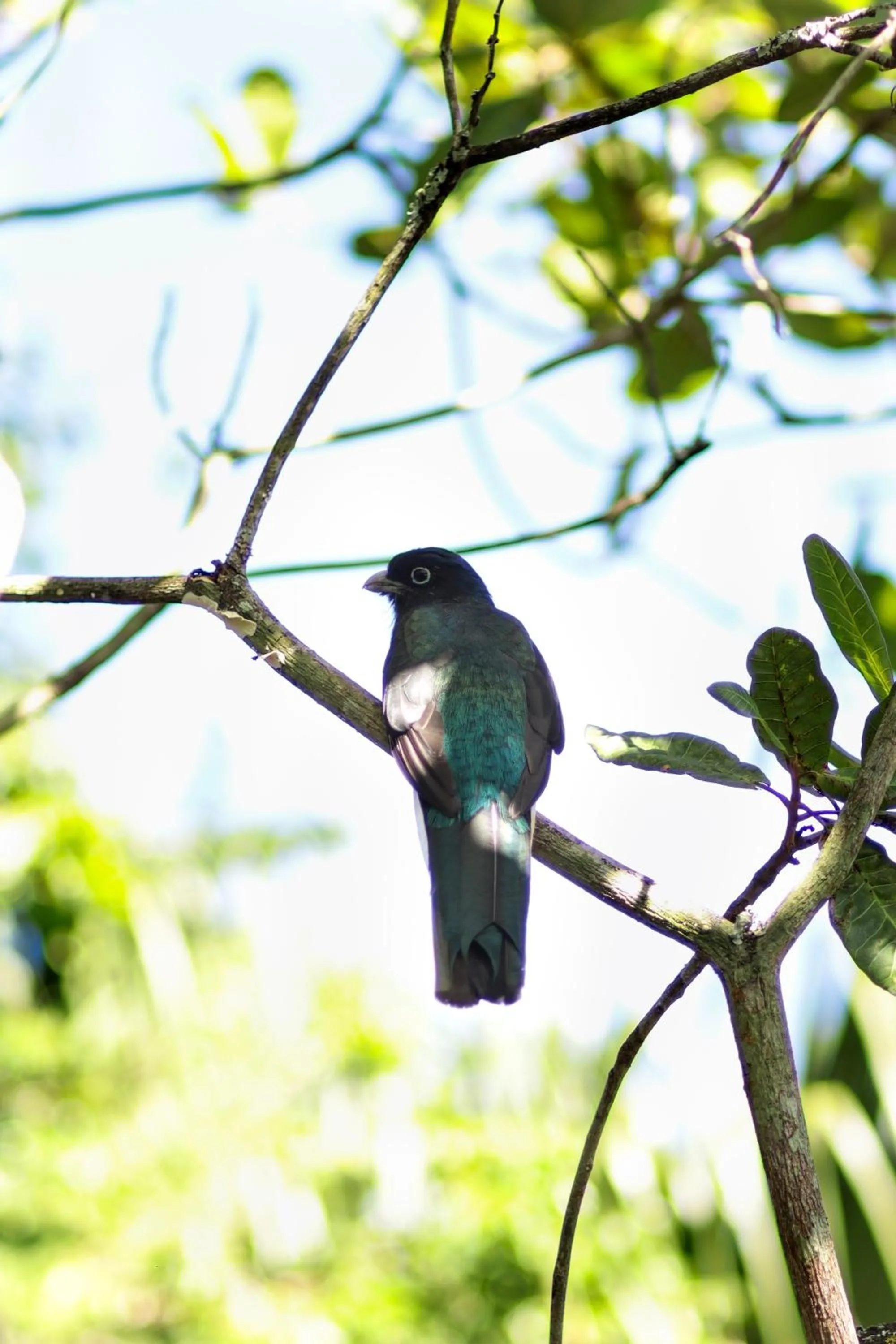 A Ilha Verde Hotel Pousada na Praia