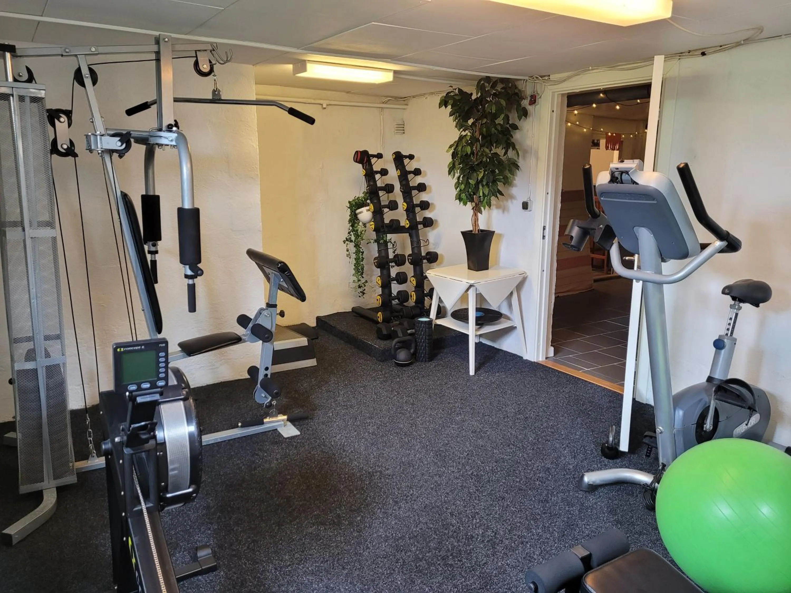 Fitness centre/facilities in Villa Ekegården