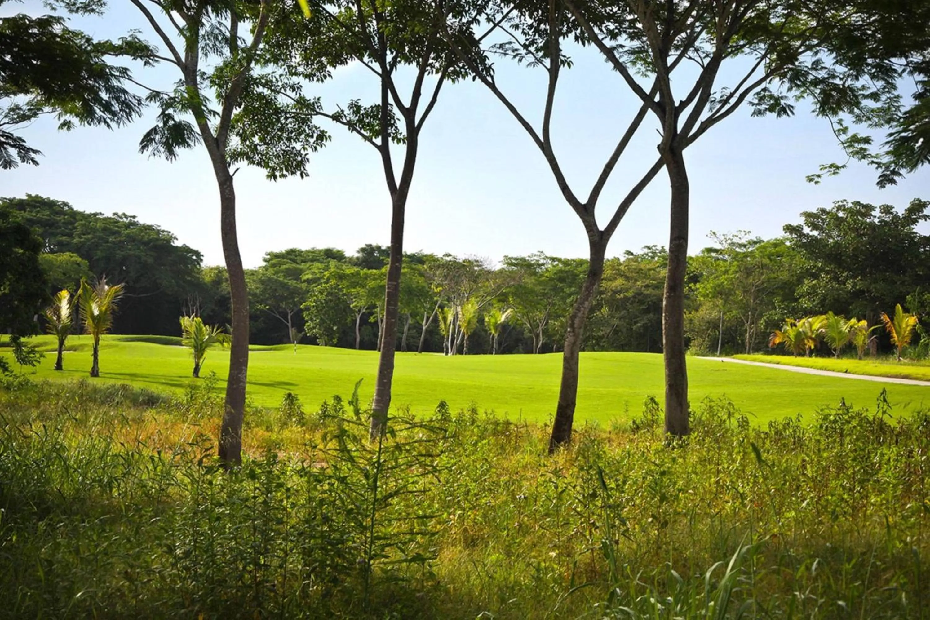 Other in The Buenaventura Golf & Beach Resort, Autograph Collection