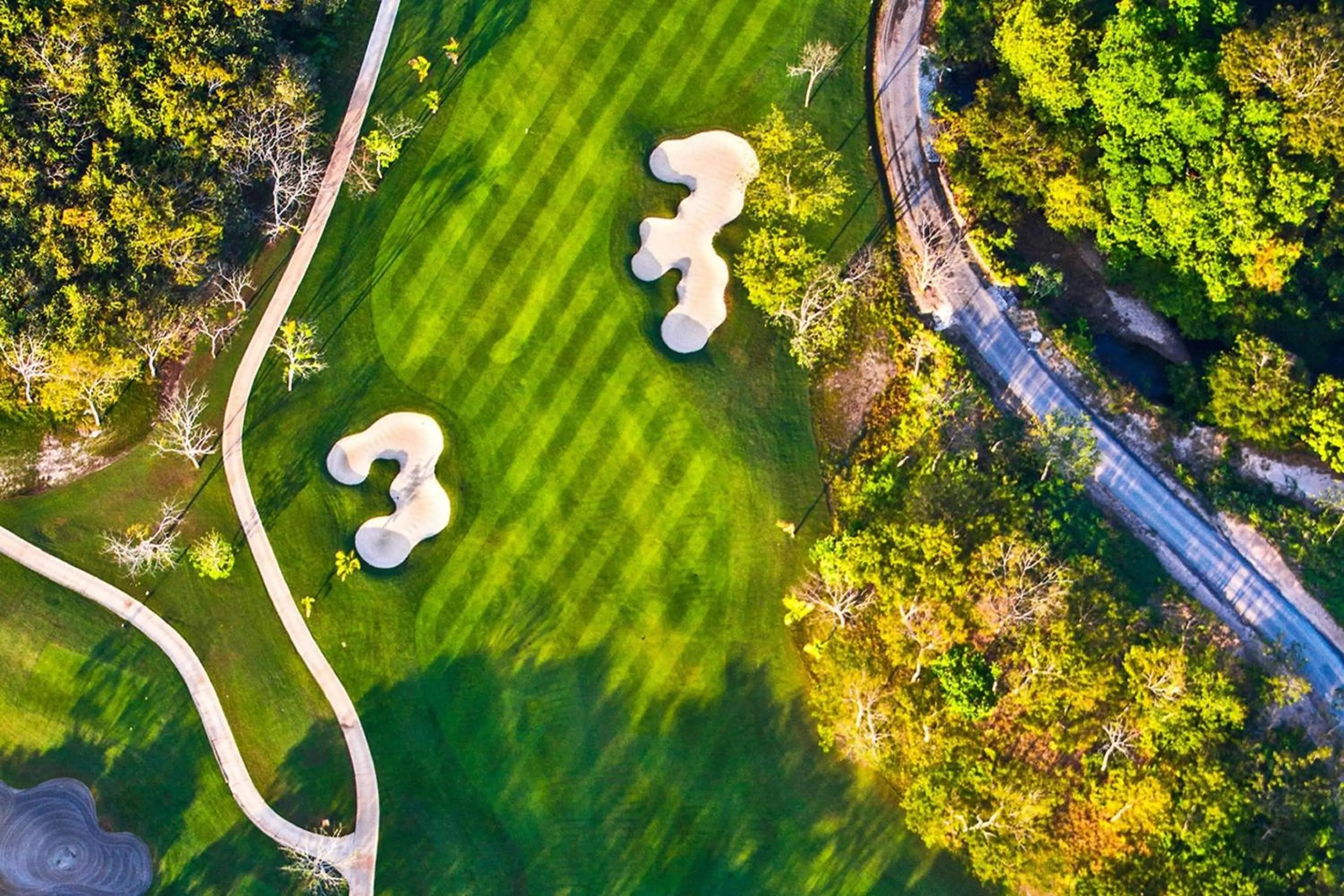 Other in The Buenaventura Golf & Beach Resort, Autograph Collection