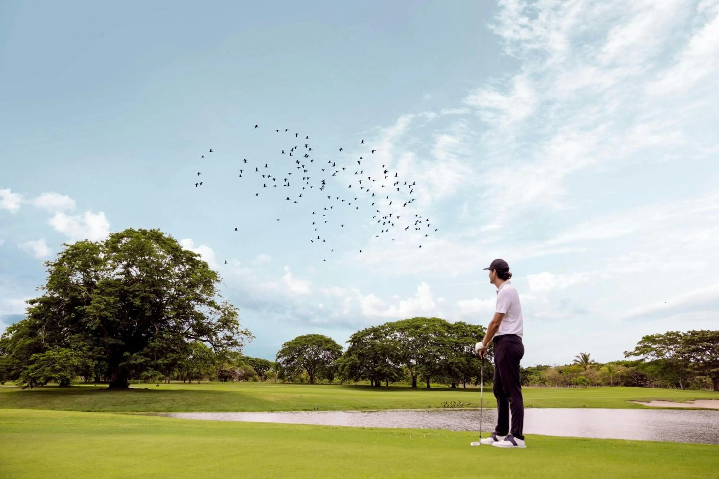 Other in The Buenaventura Golf & Beach Resort, Autograph Collection