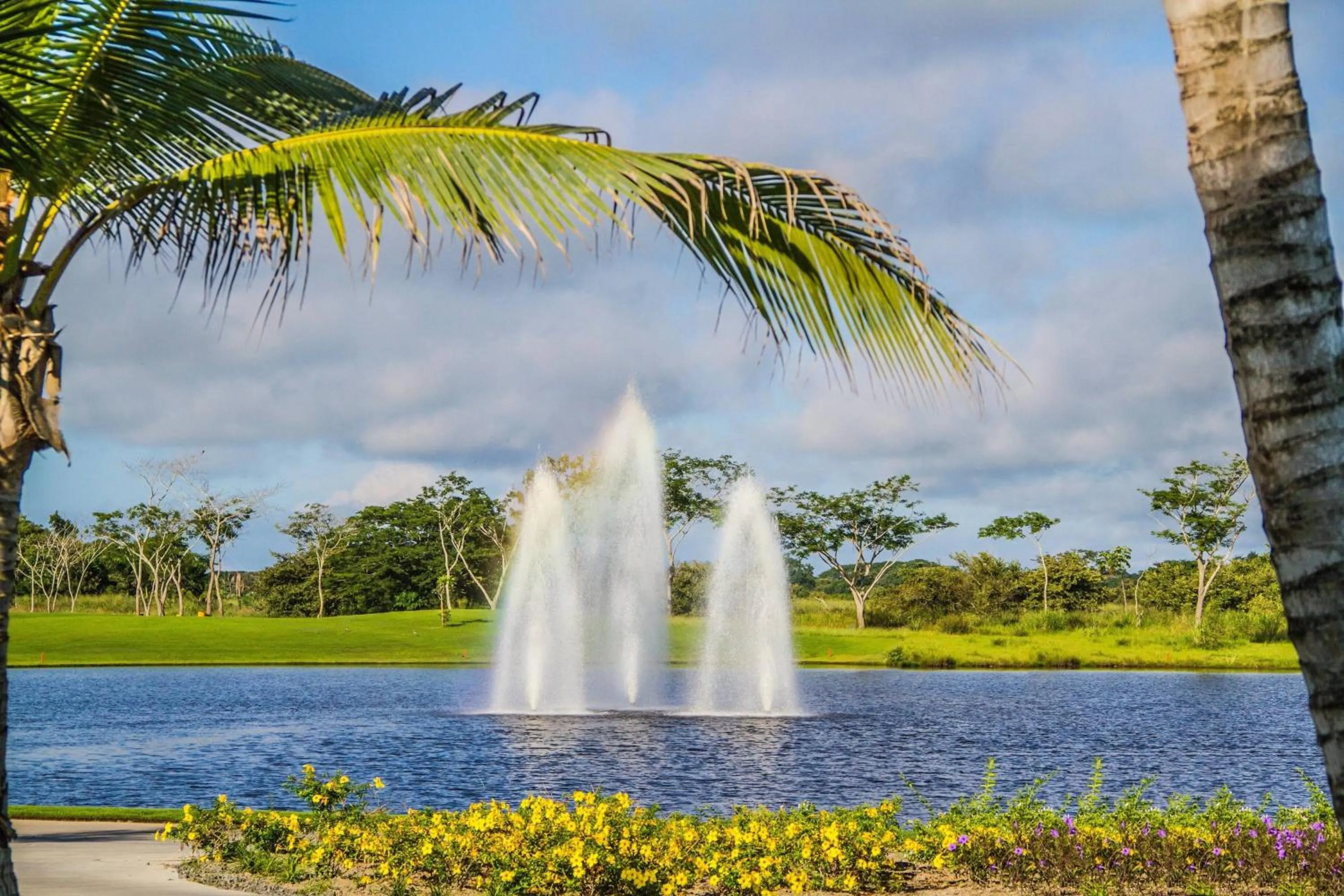 Other in The Buenaventura Golf & Beach Resort, Autograph Collection