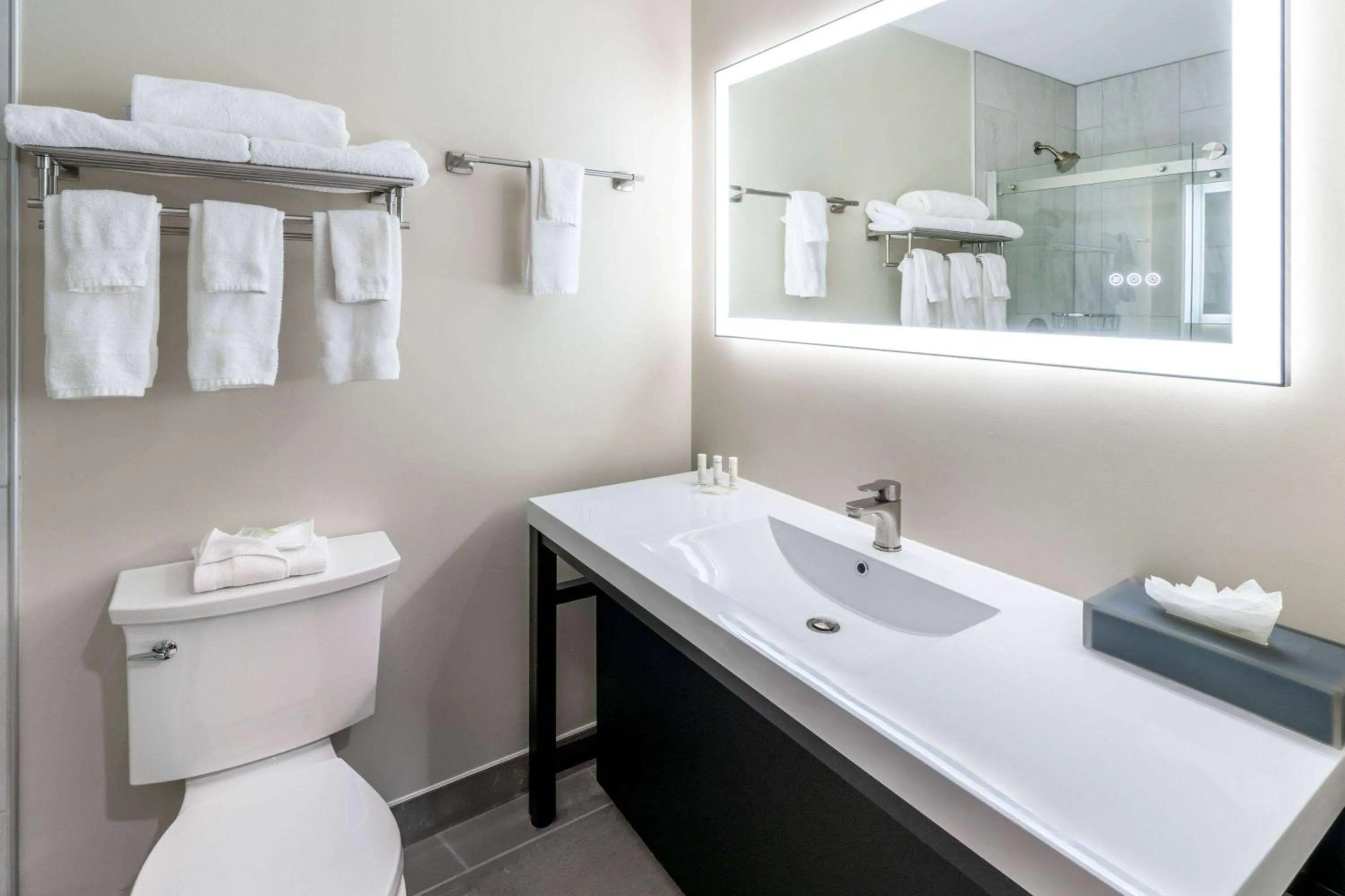 Bathroom in La Quinta Inn by Wyndham Steamboat Springs