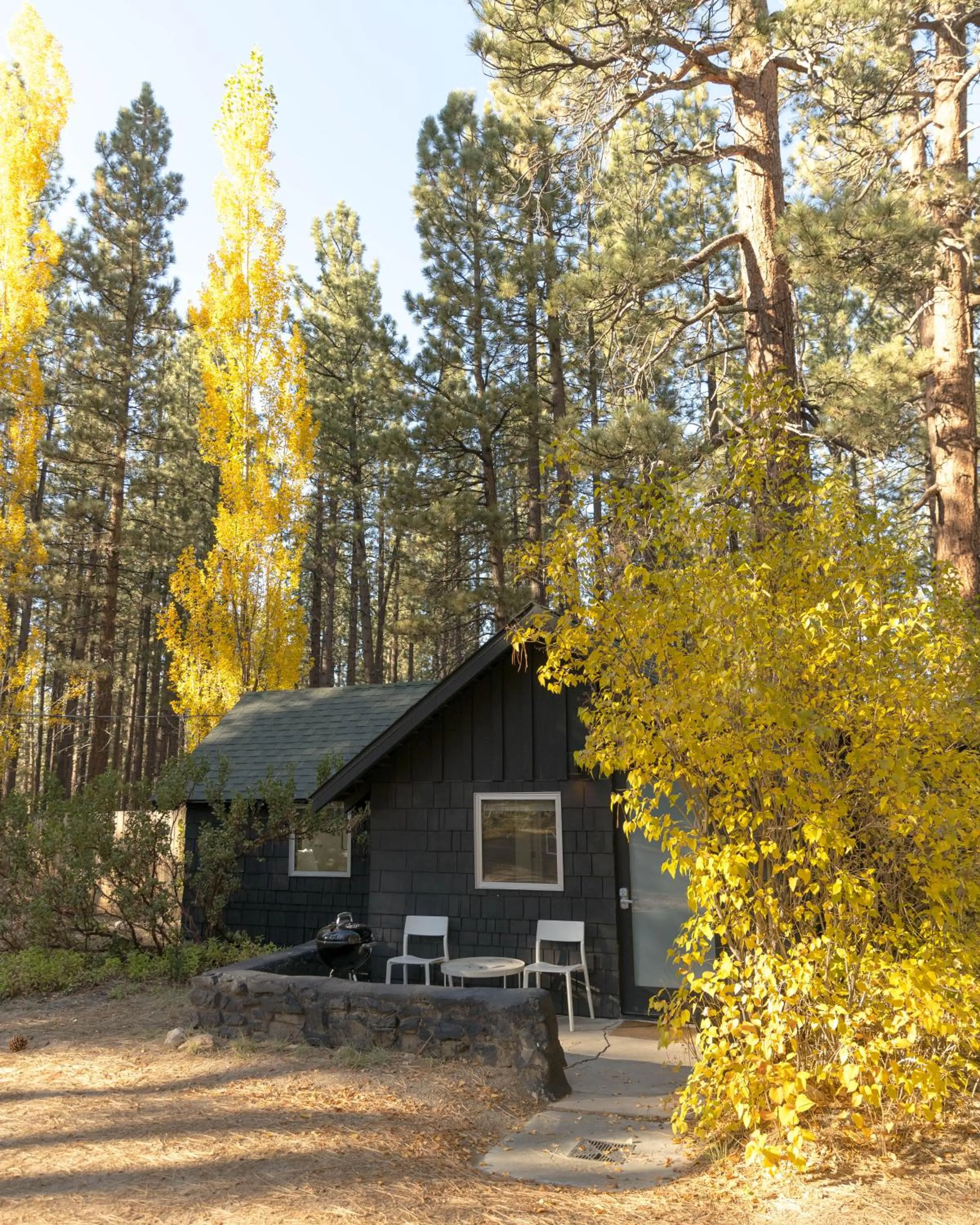 Property building in Colorado Lodge