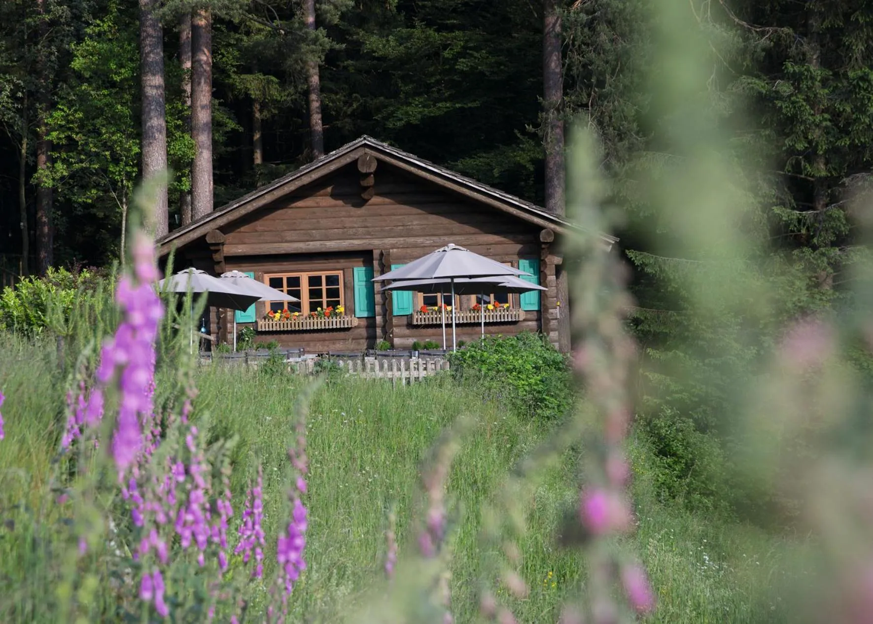 Hiking in Hotel Traube Tonbach