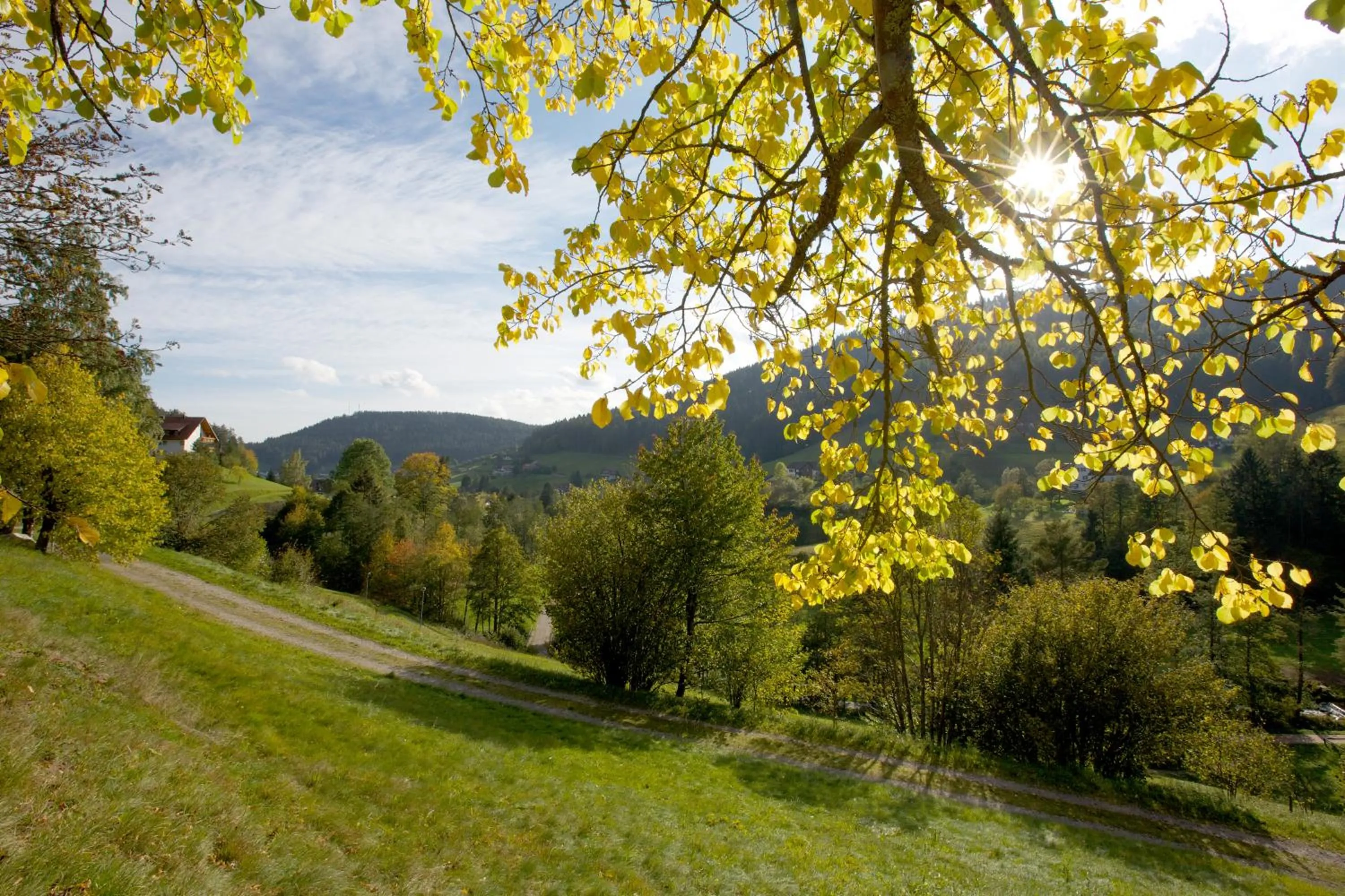 Area and facilities in Hotel Traube Tonbach