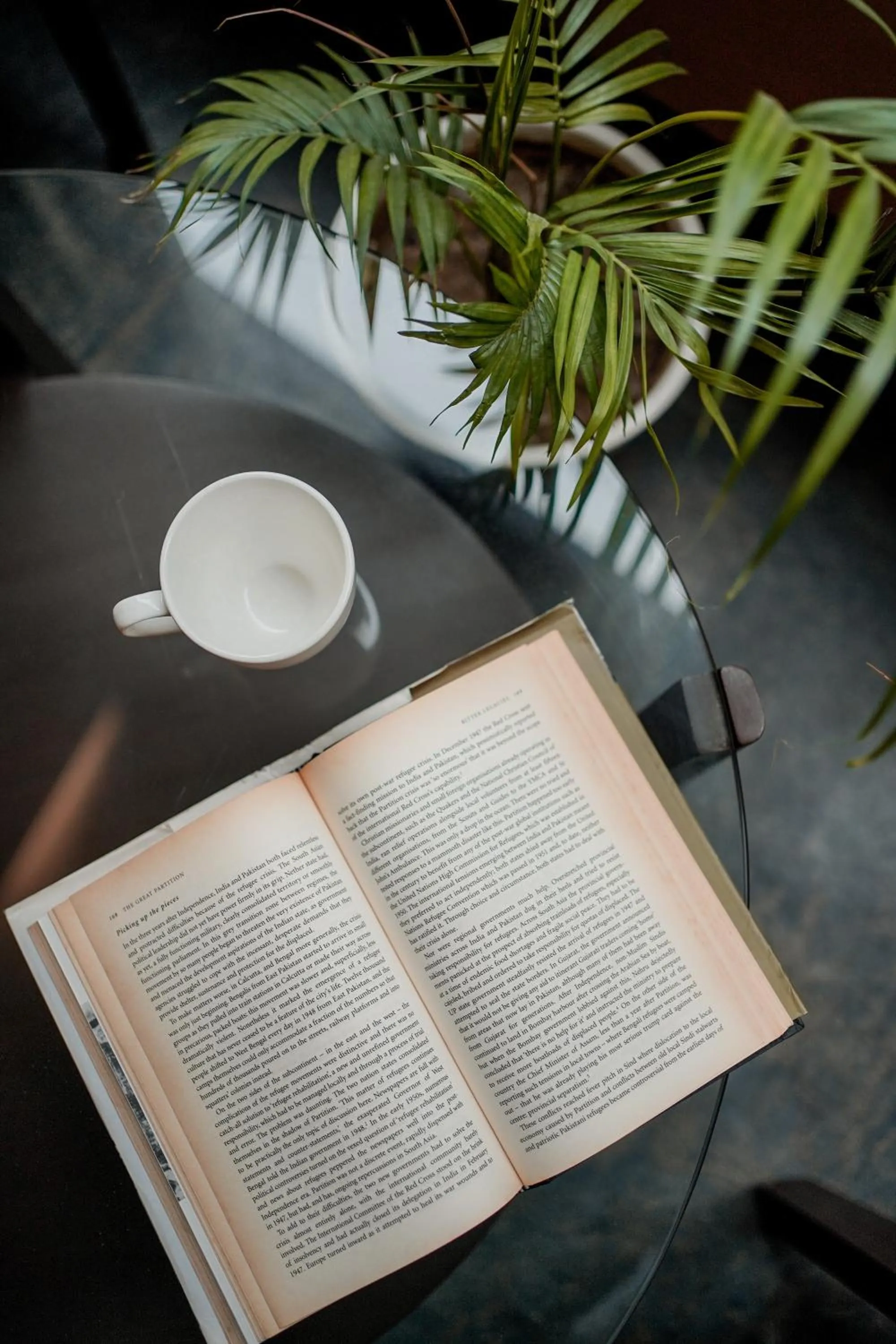 Library in Ekaa Villa near Taj Mahal