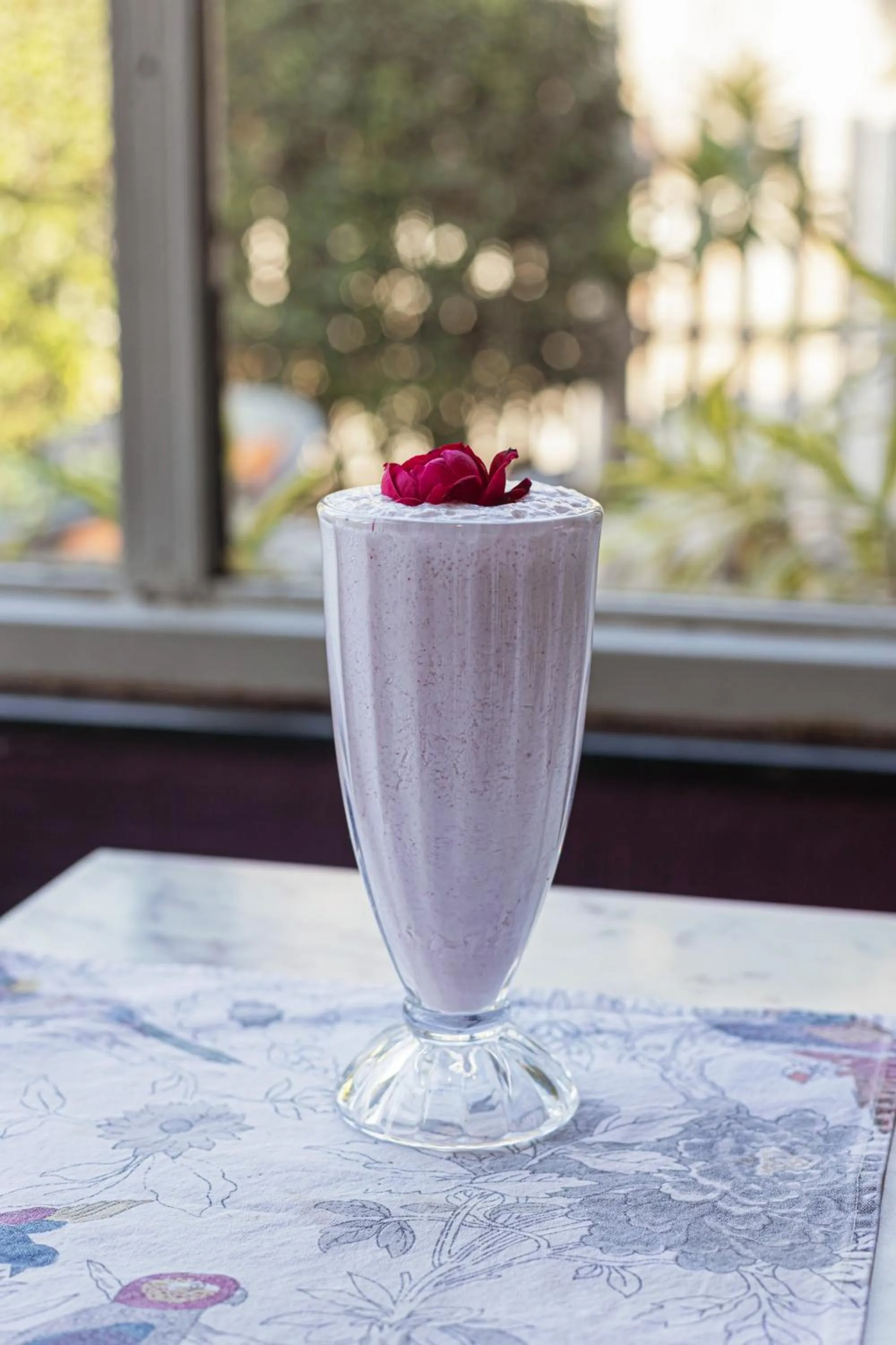 Day in Ekaa Villa near Taj Mahal