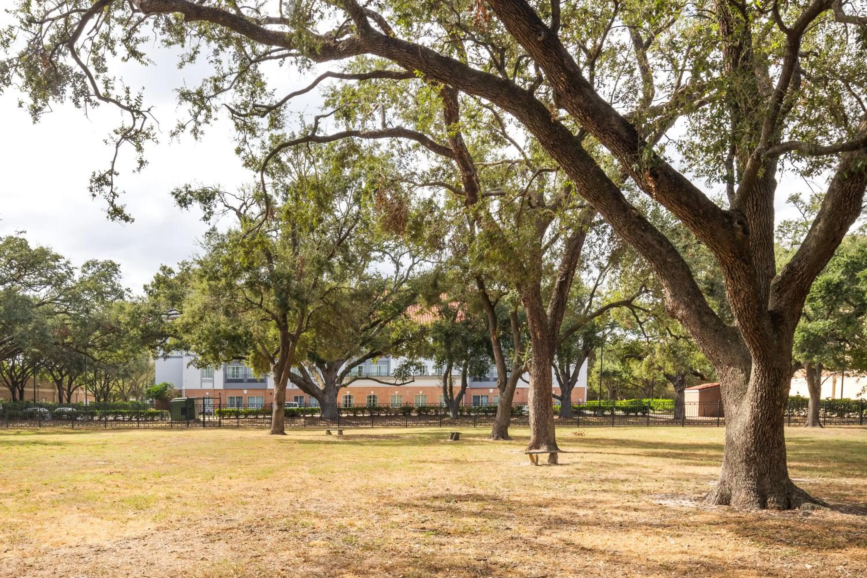 Natural landscape in Spark by Hilton Houston West Clay Road