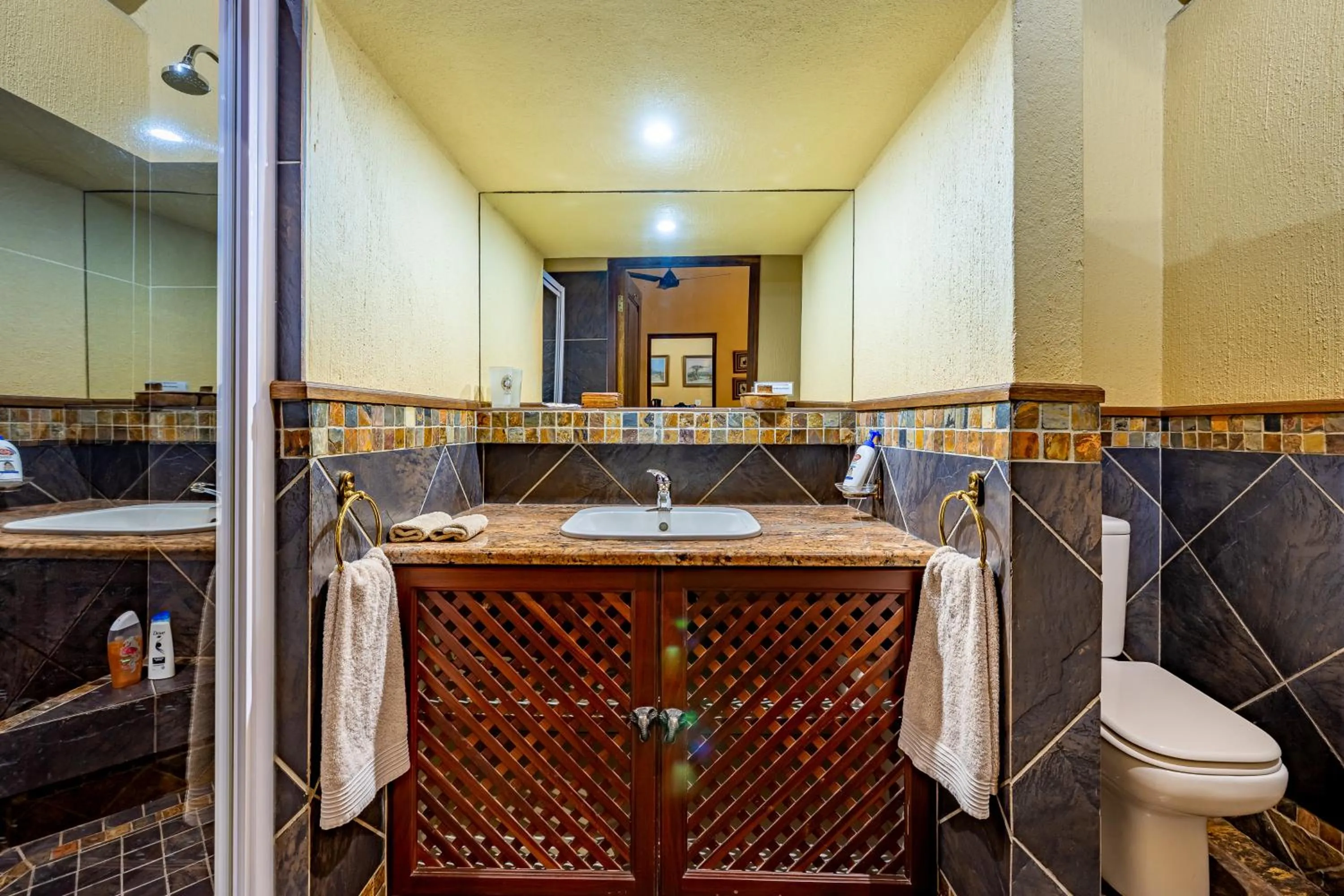 Shower in Mhlati Guest Cottages