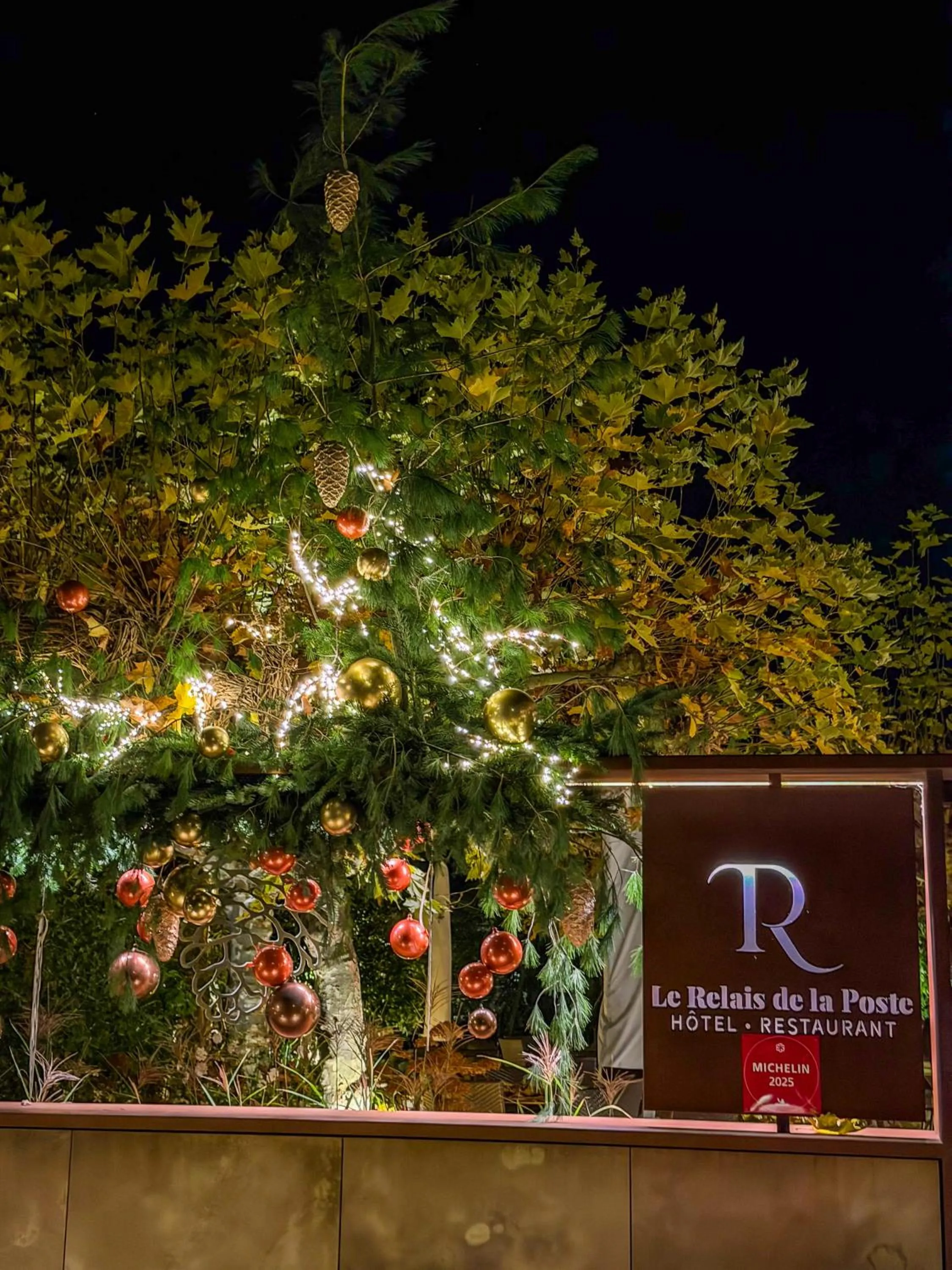 Property building in Hôtel Restaurant Relais De La Poste - Strasbourg Nord