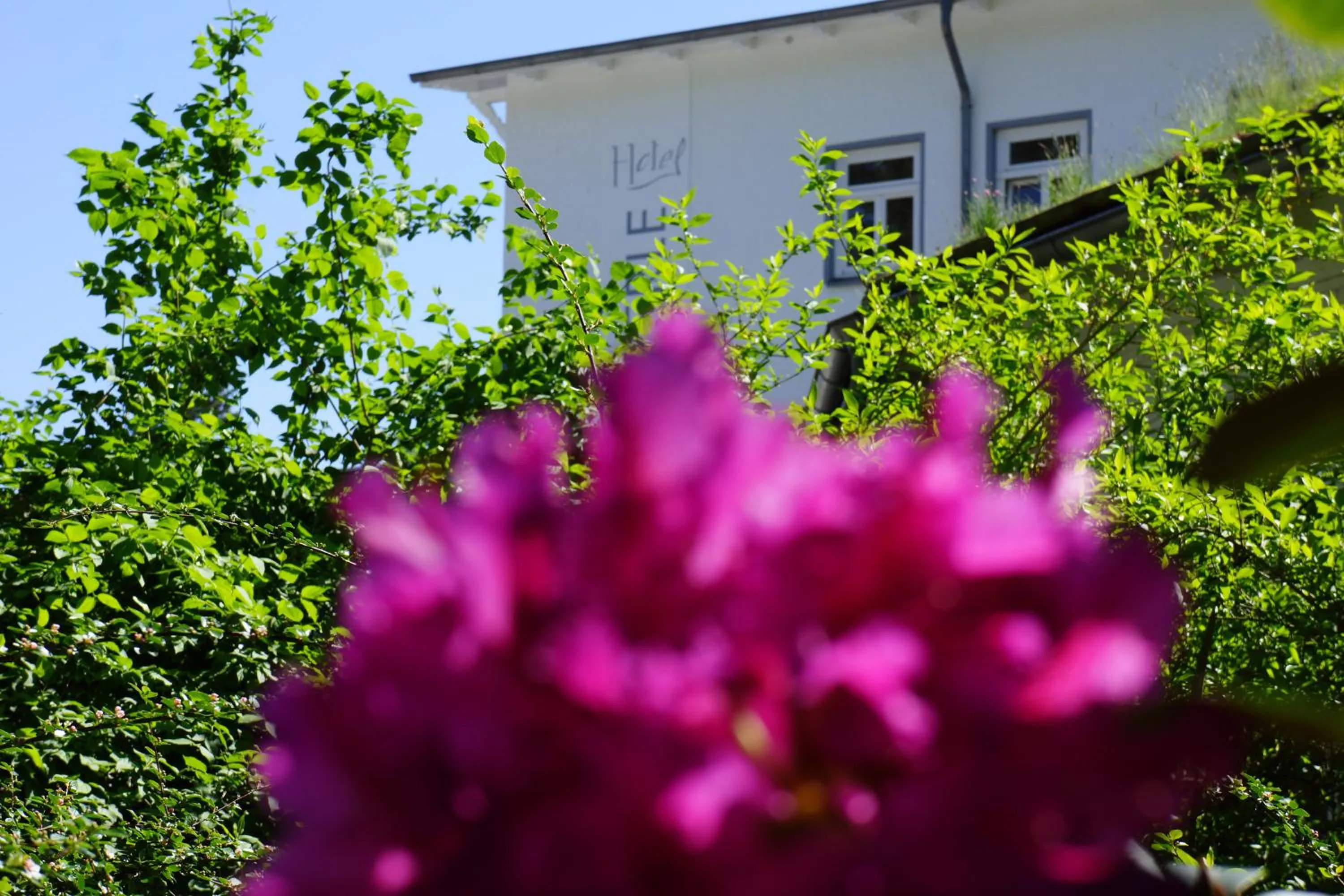 Property building in Hotel Waldperle