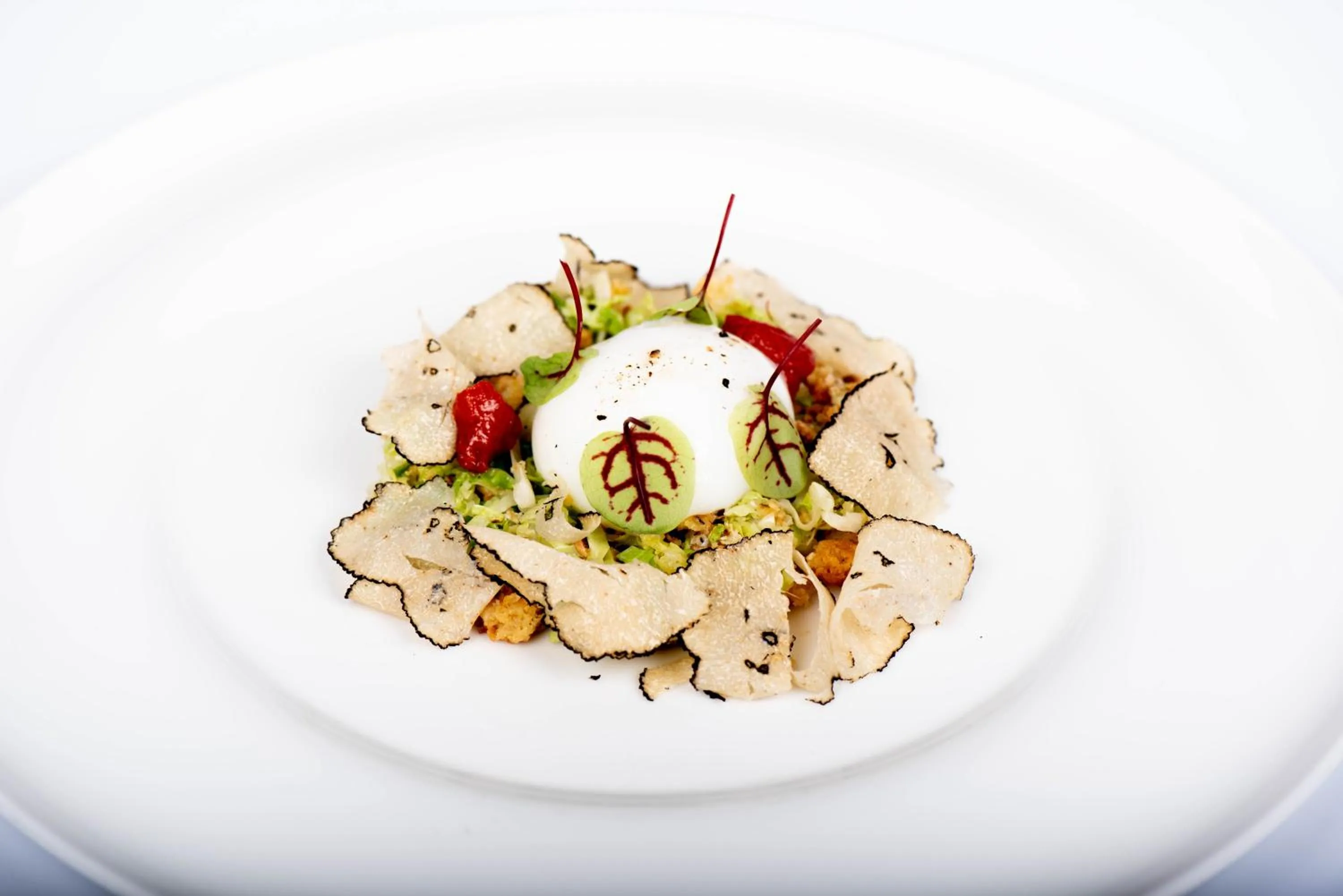 Restaurant/places to eat in Hotel Eira