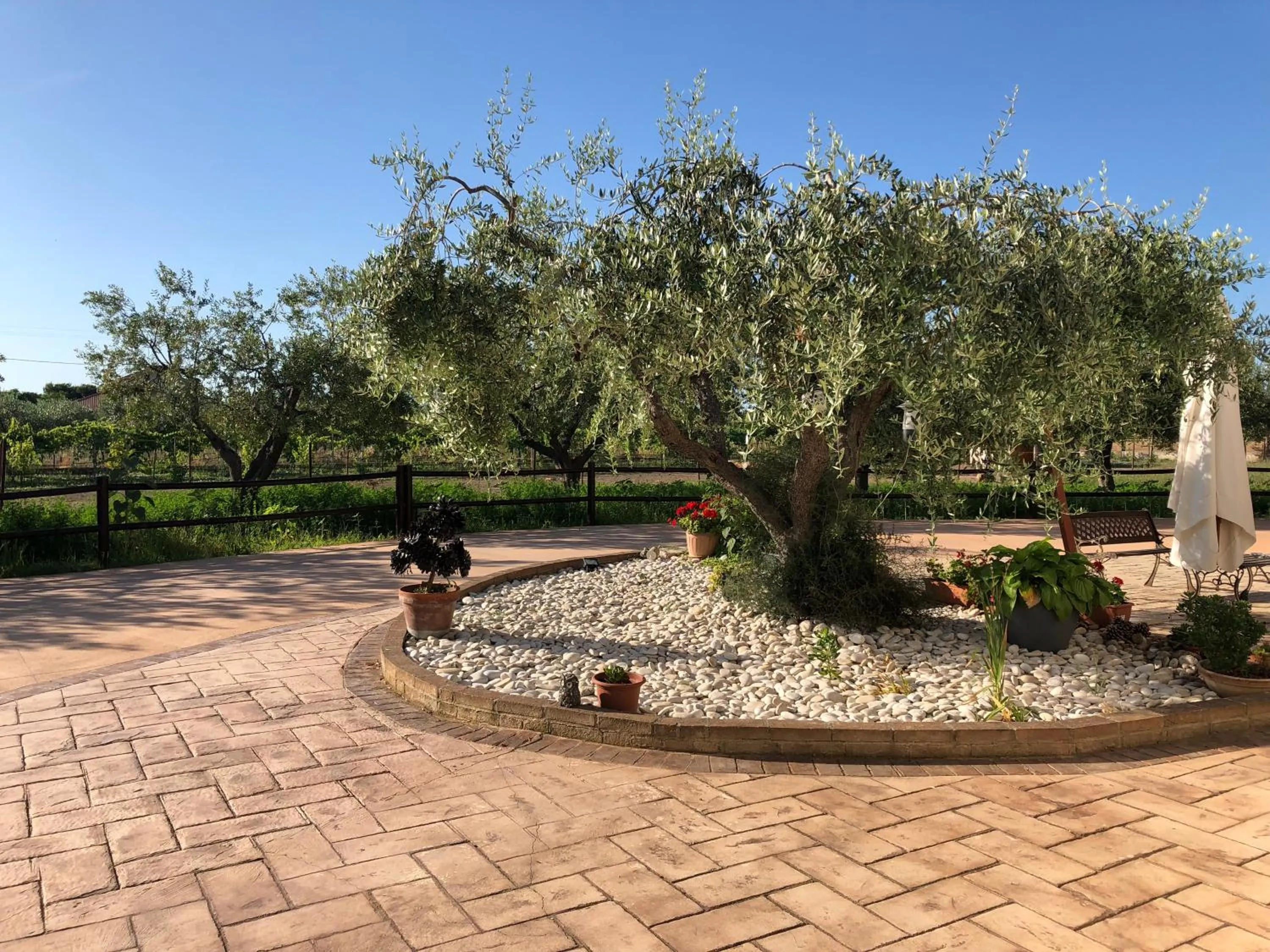 Garden in B&b Villa Eden