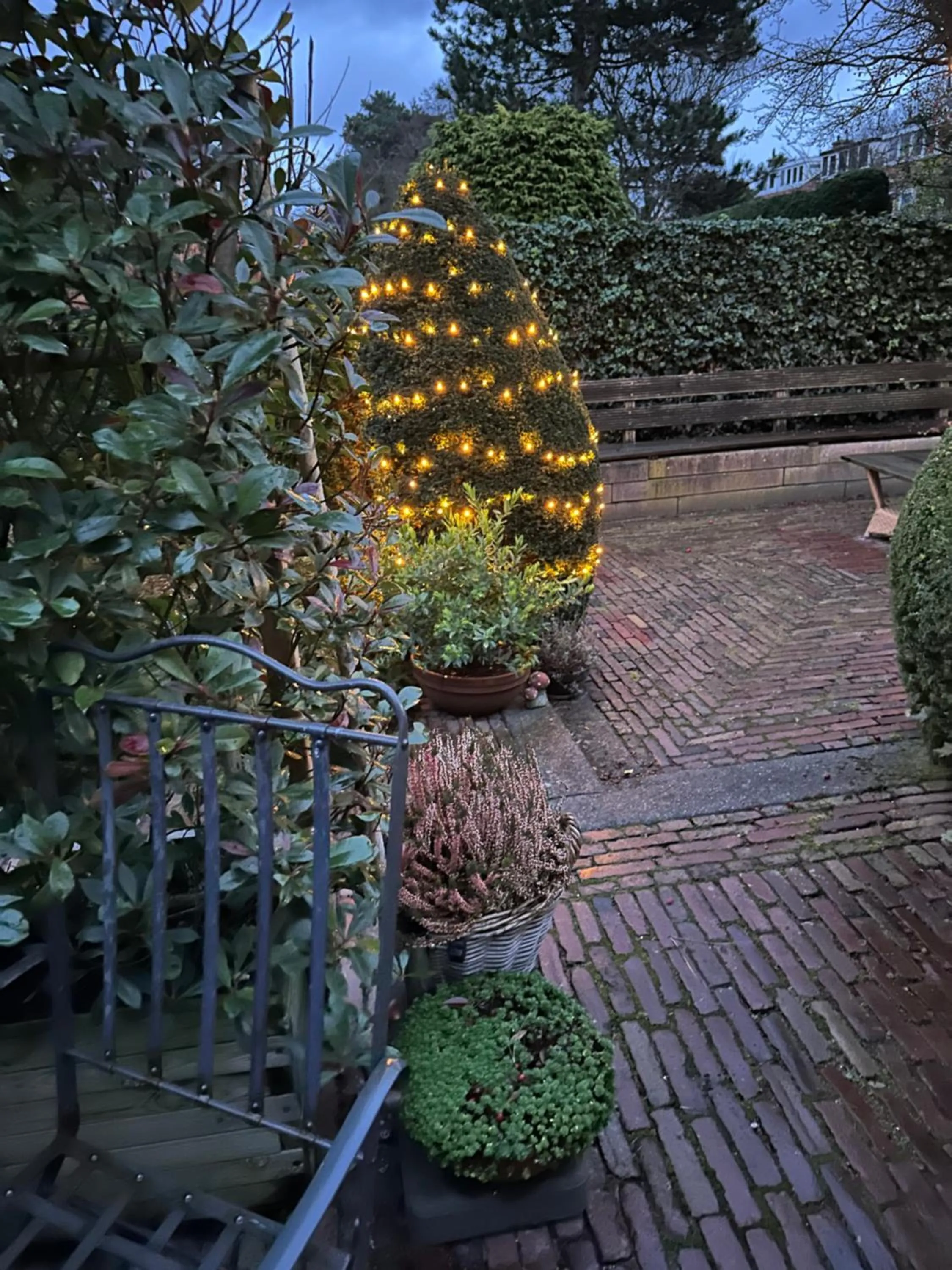 Garden view in B&B Ereprijs