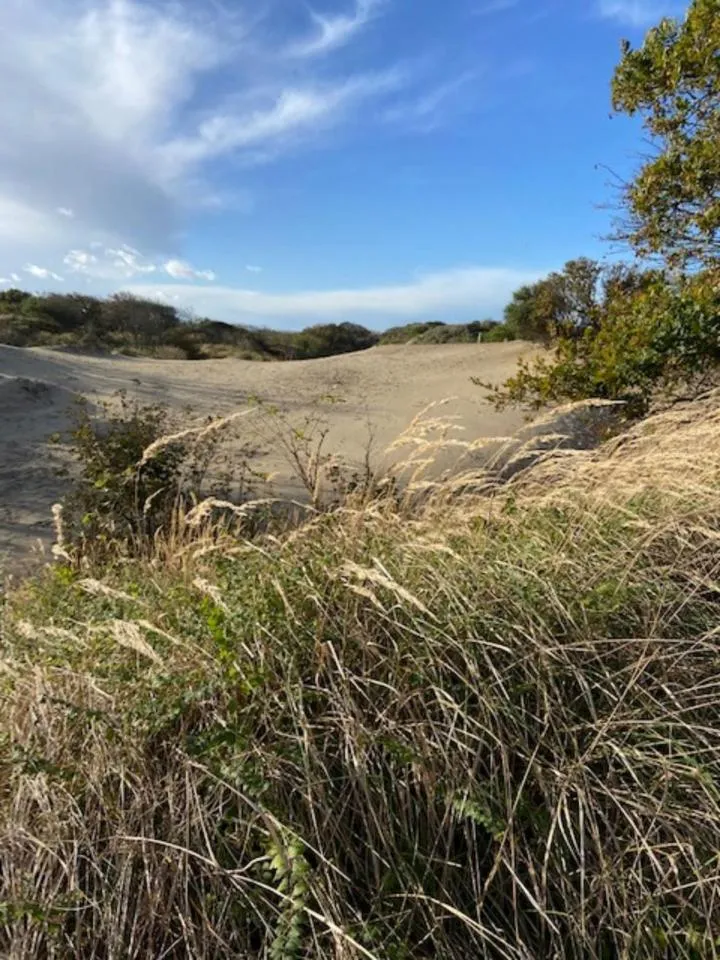 Natural landscape in B&B Ereprijs