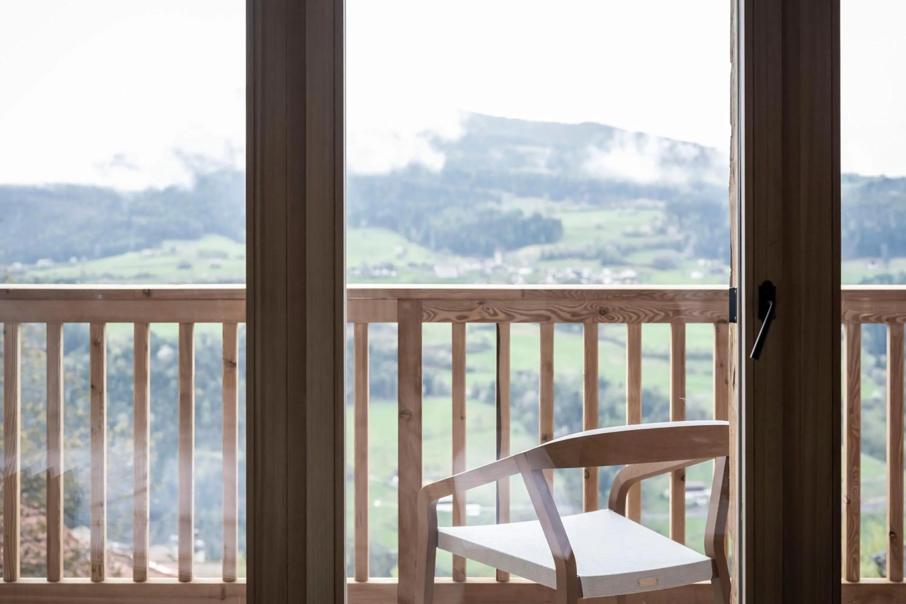 View (from property/room) in Hotel Ansitz Steinbock