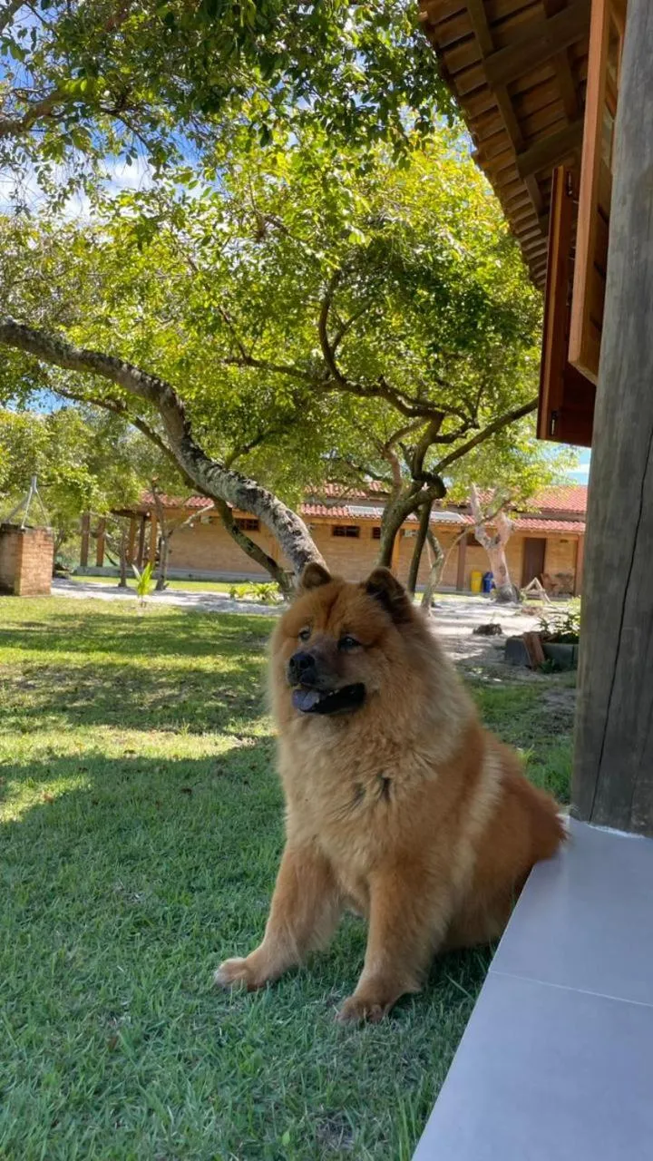 Property building in Vila das Mangabeiras Corumbau