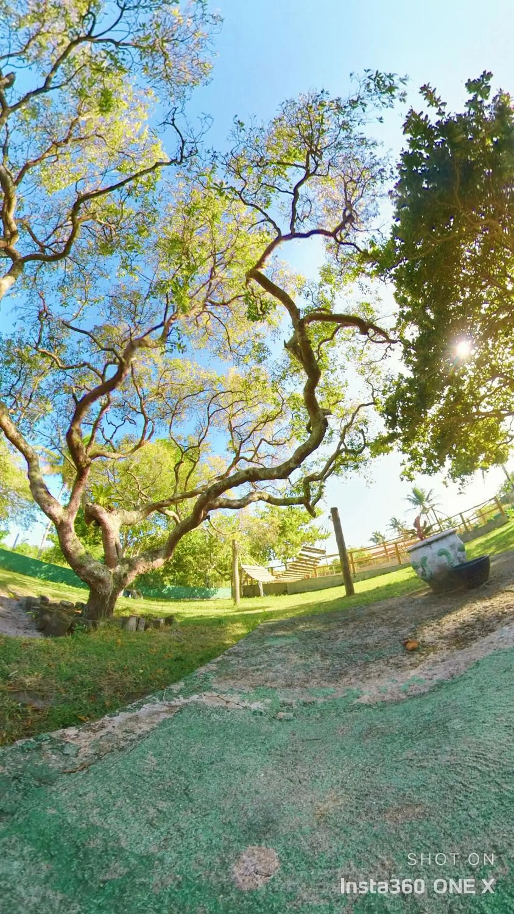 Spring in Vila das Mangabeiras Corumbau