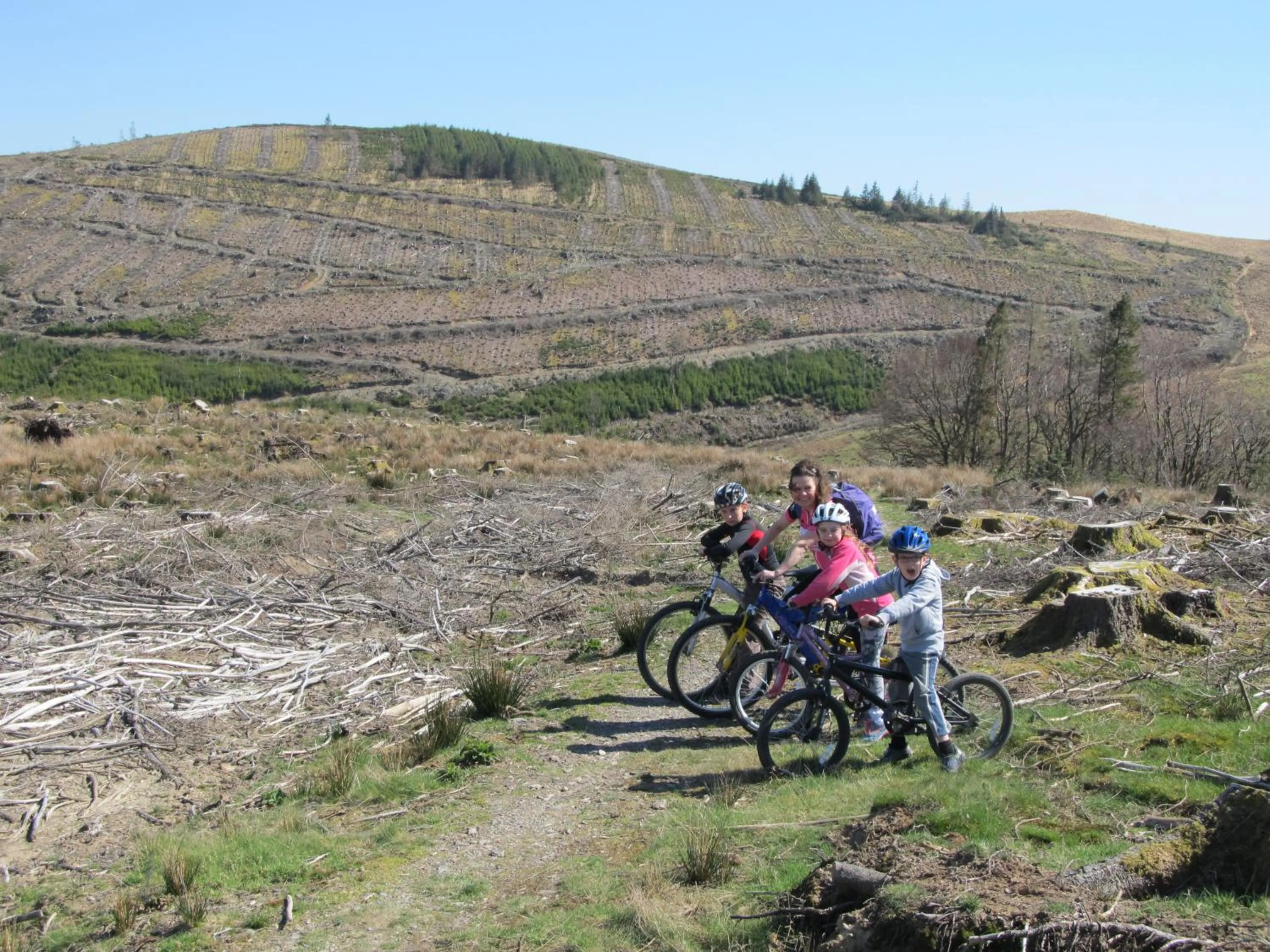 Natural landscape in Highland Moors