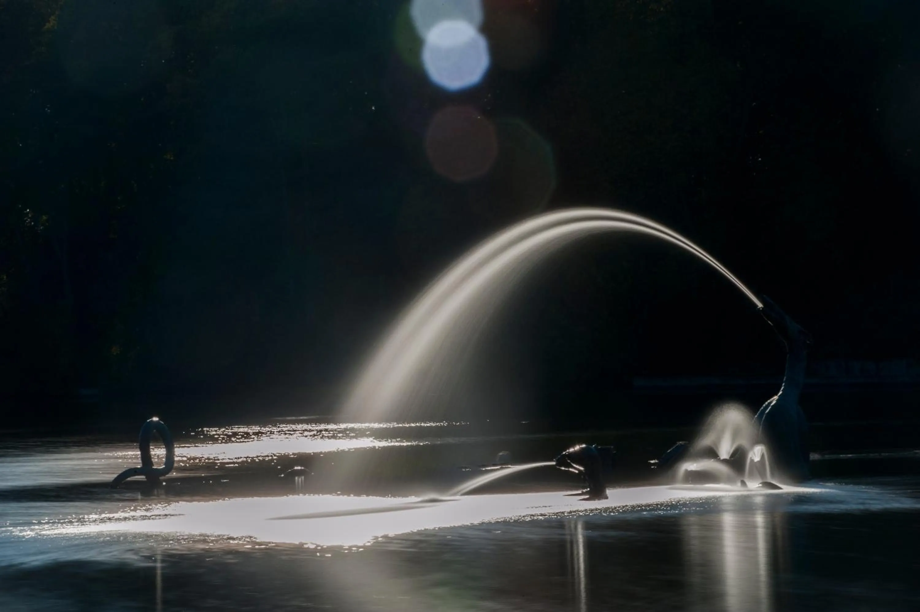 Natural landscape in Highland Moors