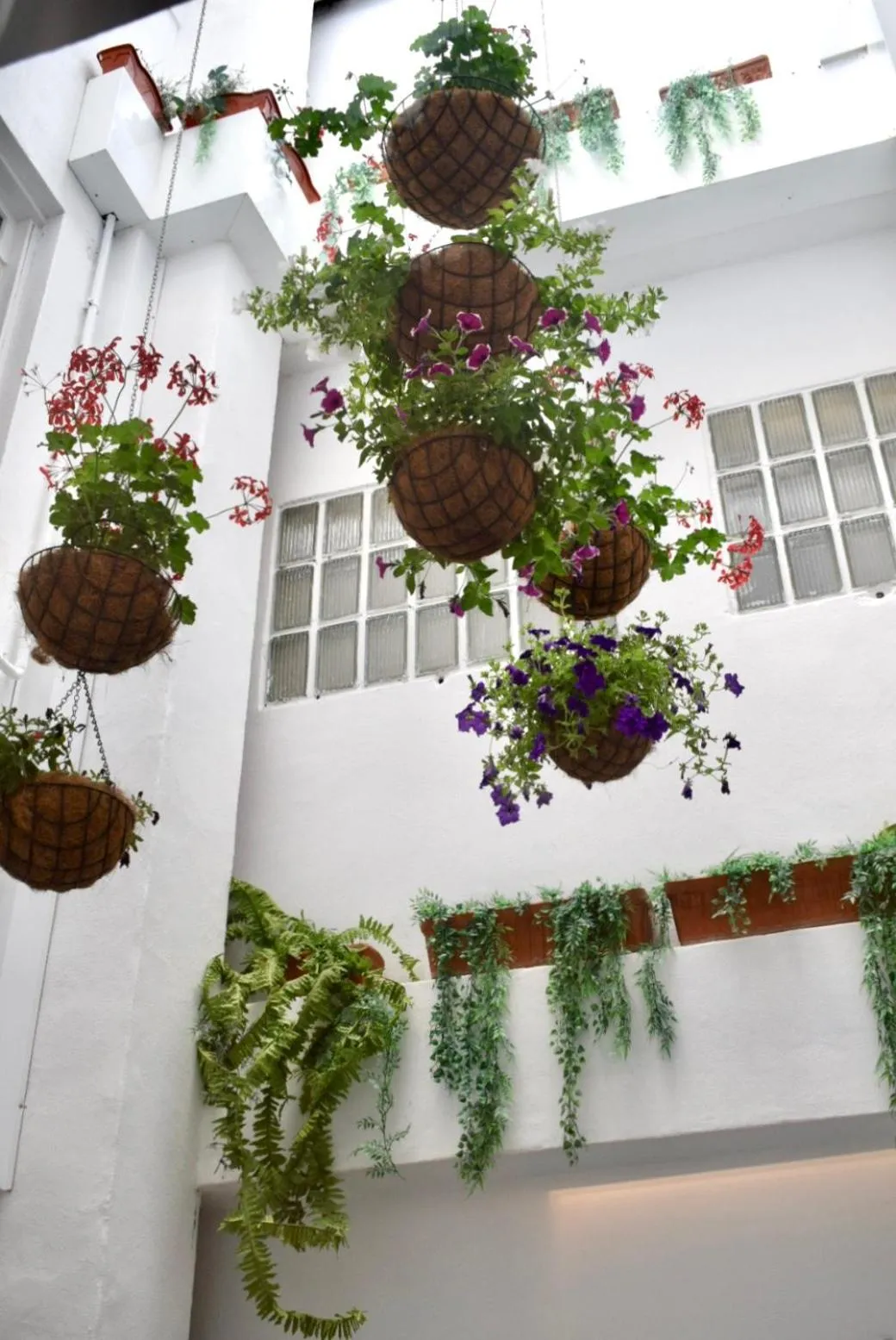 Patio in Mapoula PR Boutique