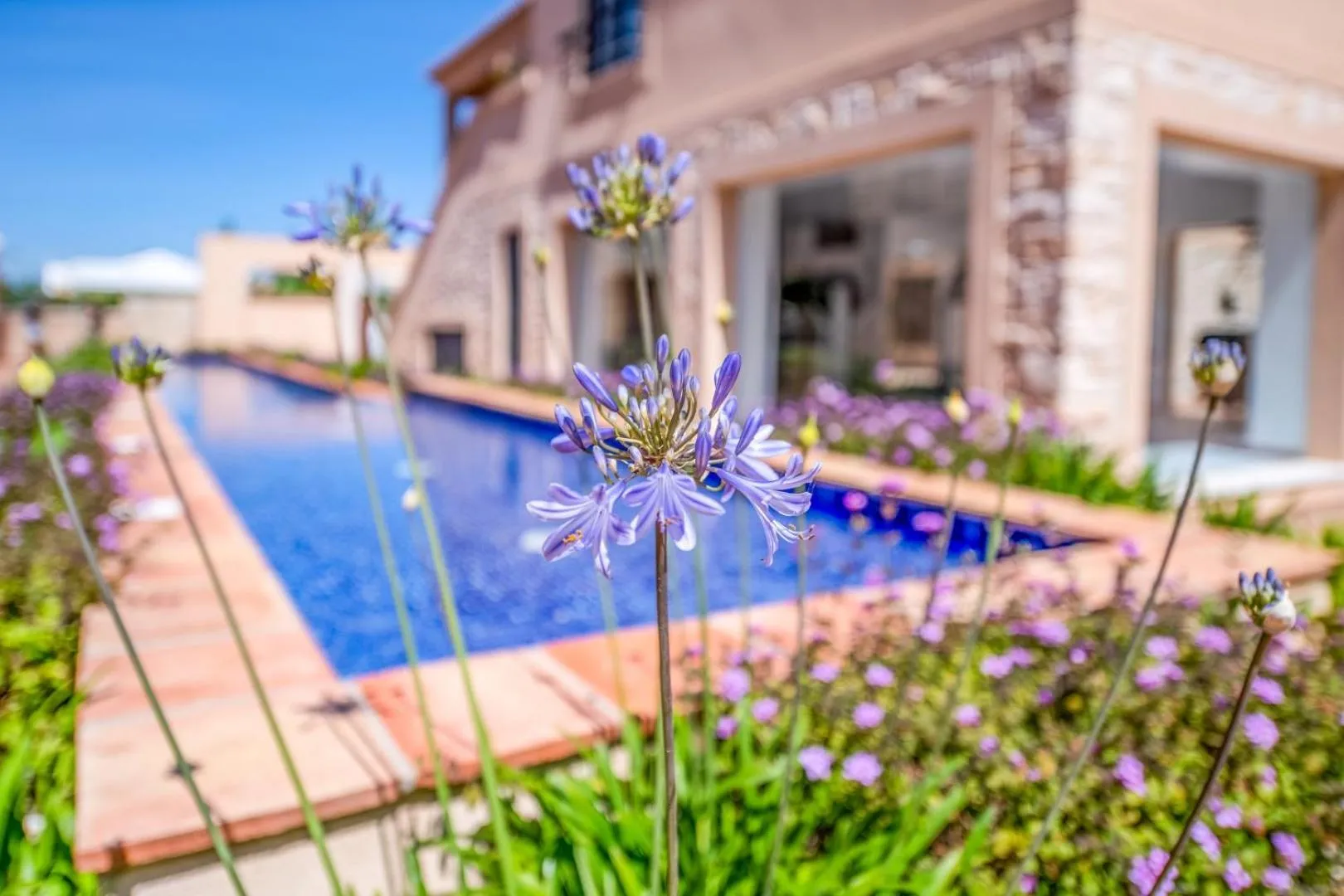 Garden in Mar da Luz Resort