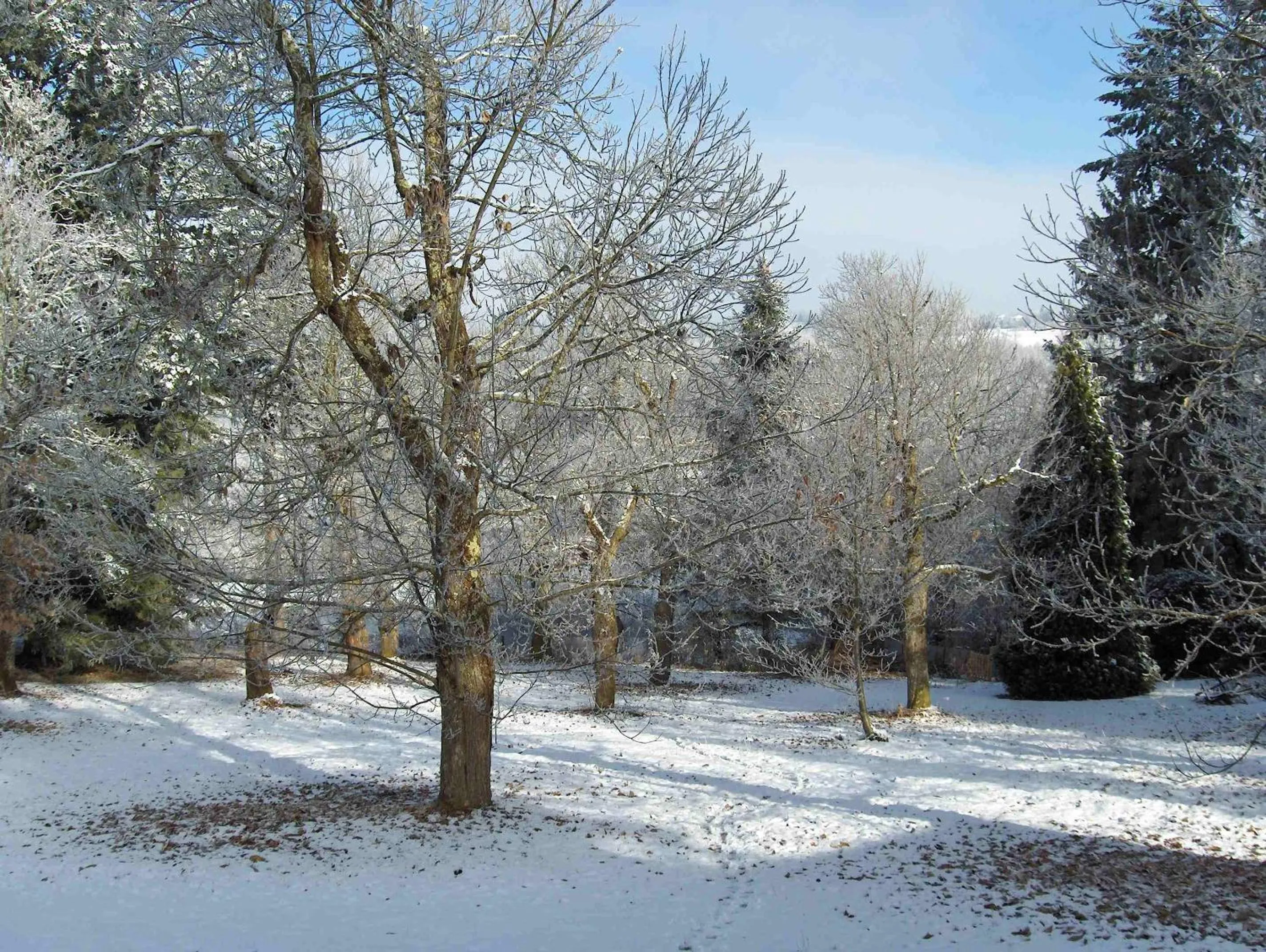 Winter in Chambres d'Hôtes Le Chalet