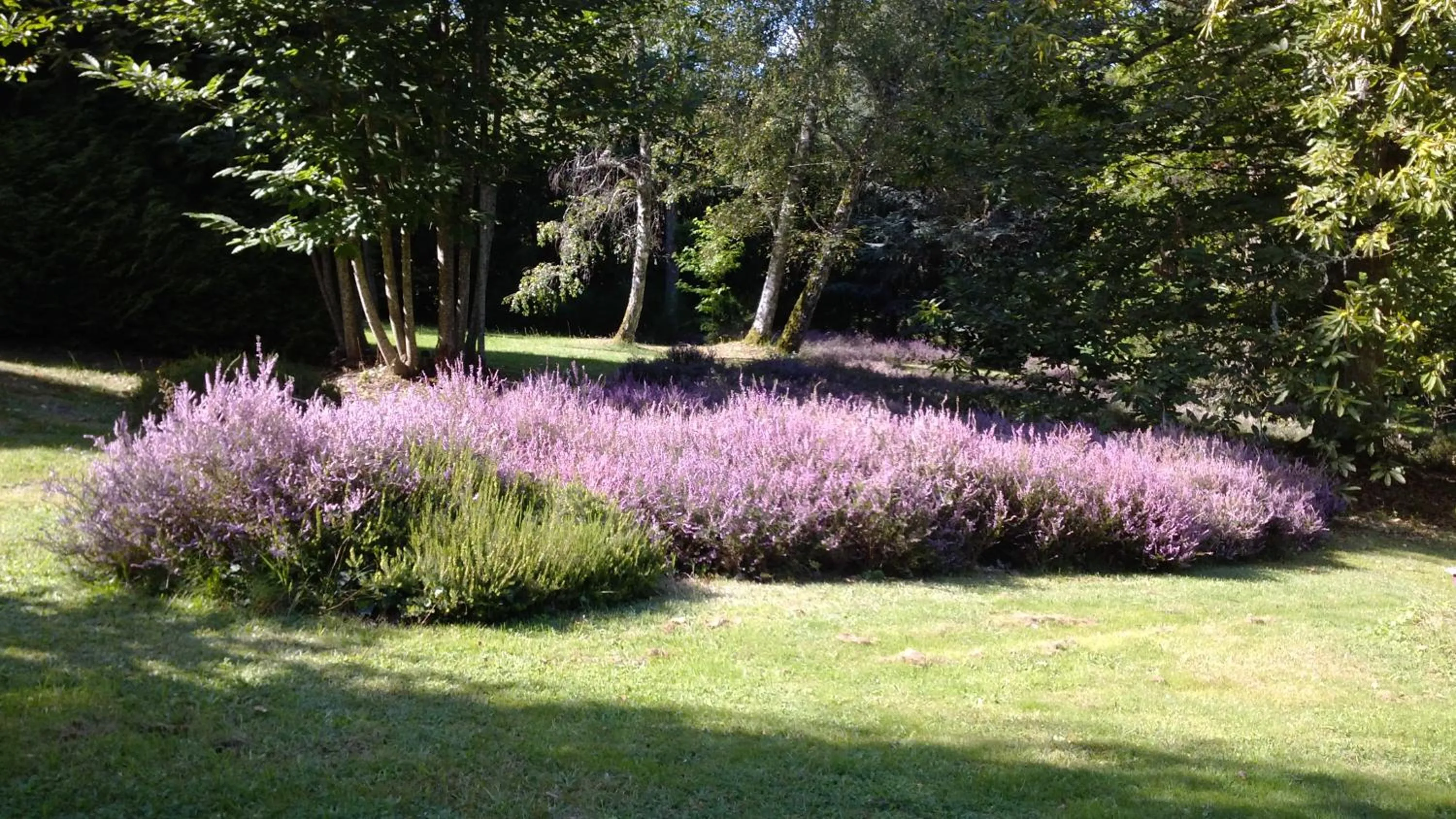Garden view in Chambres d'Hôtes Le Chalet
