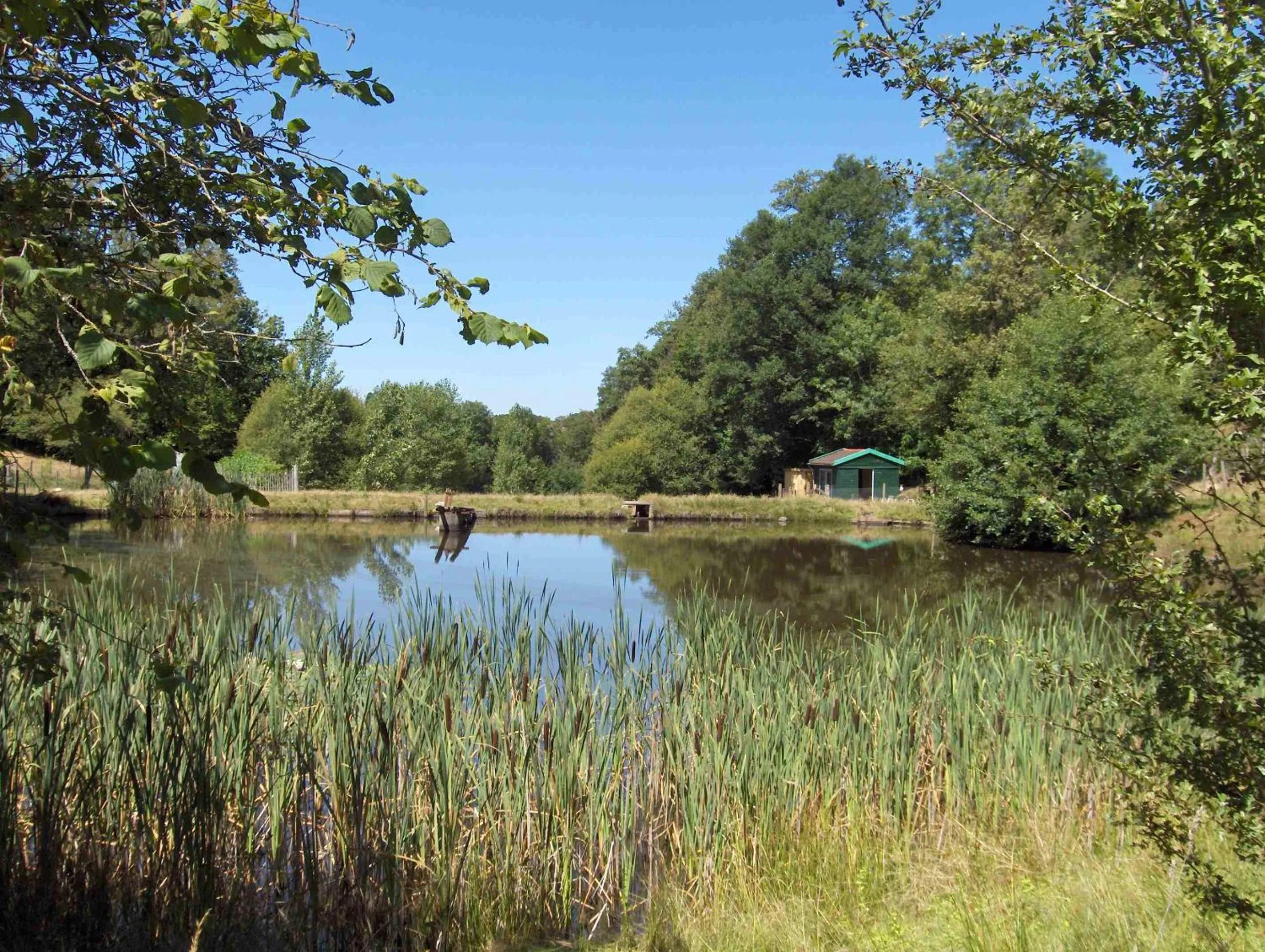 Natural landscape in Chambres d'Hôtes Le Chalet