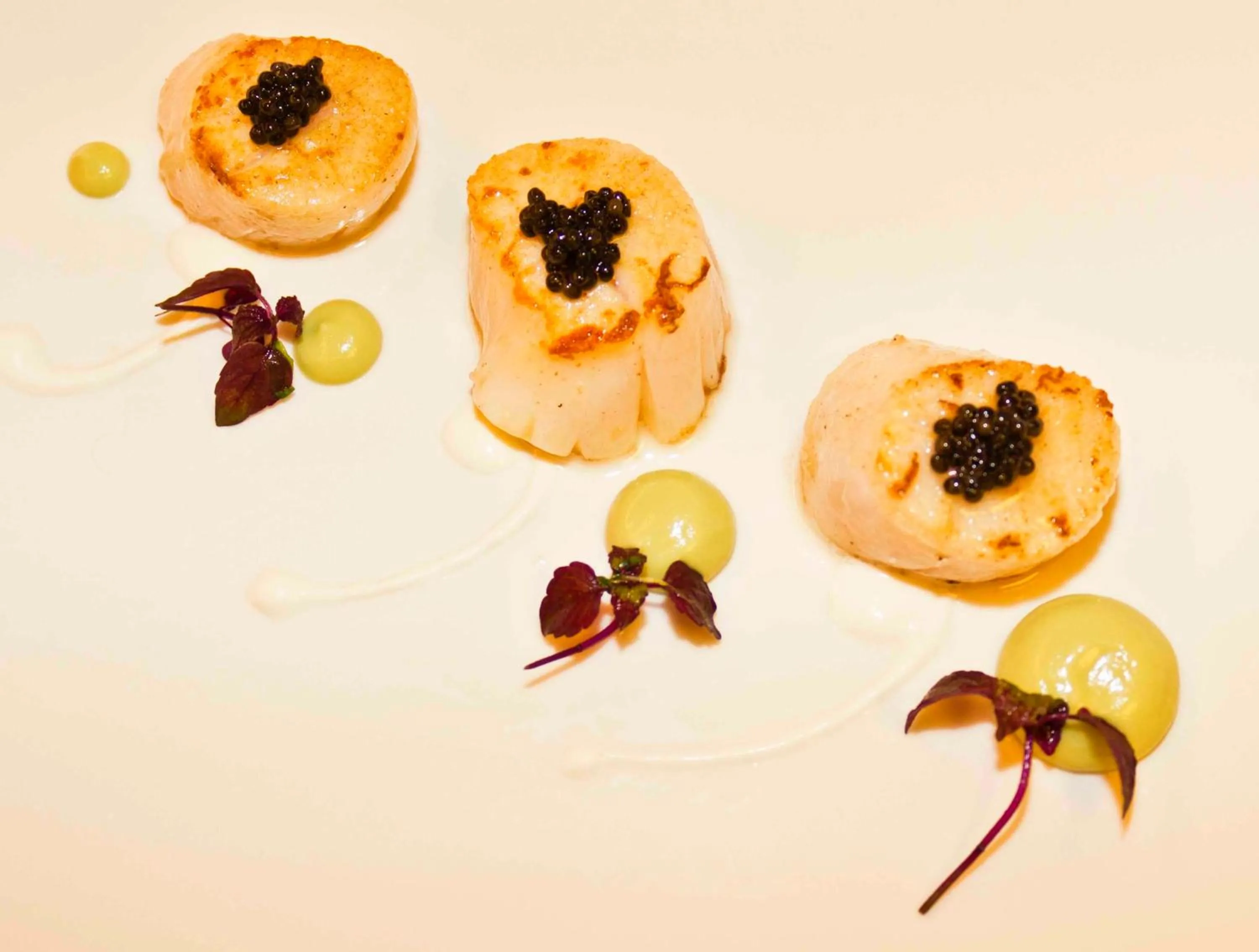 Food and drinks in Hotel De Croone