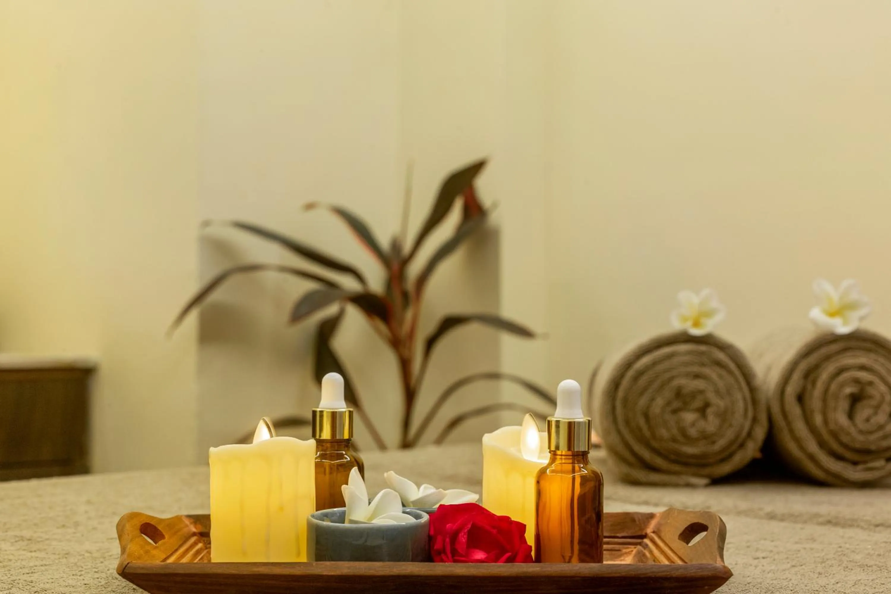 Spa and wellness centre/facilities in Sterling Balicha Udaipur