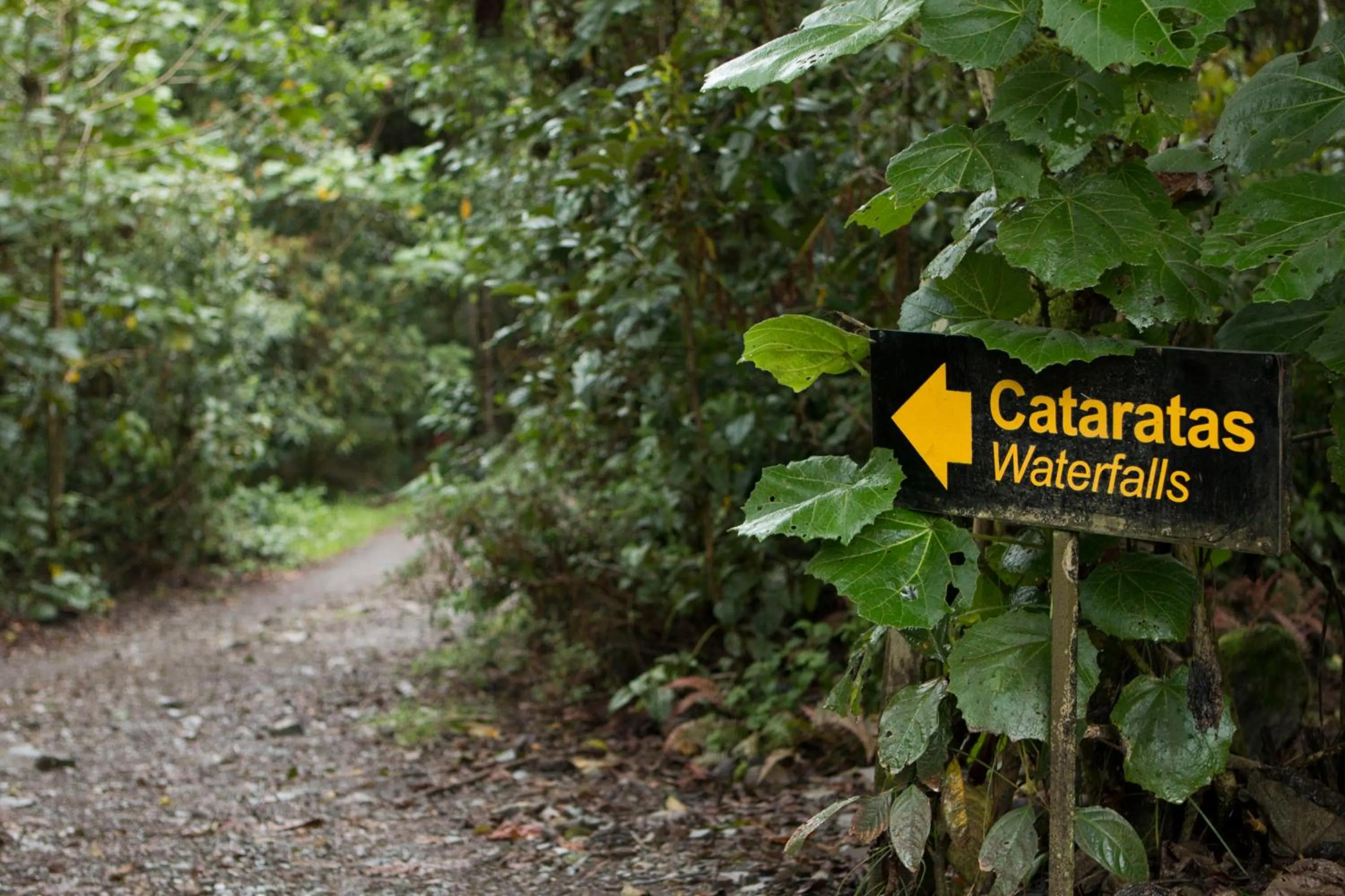 Fishing in Hotel de Montaña Suria