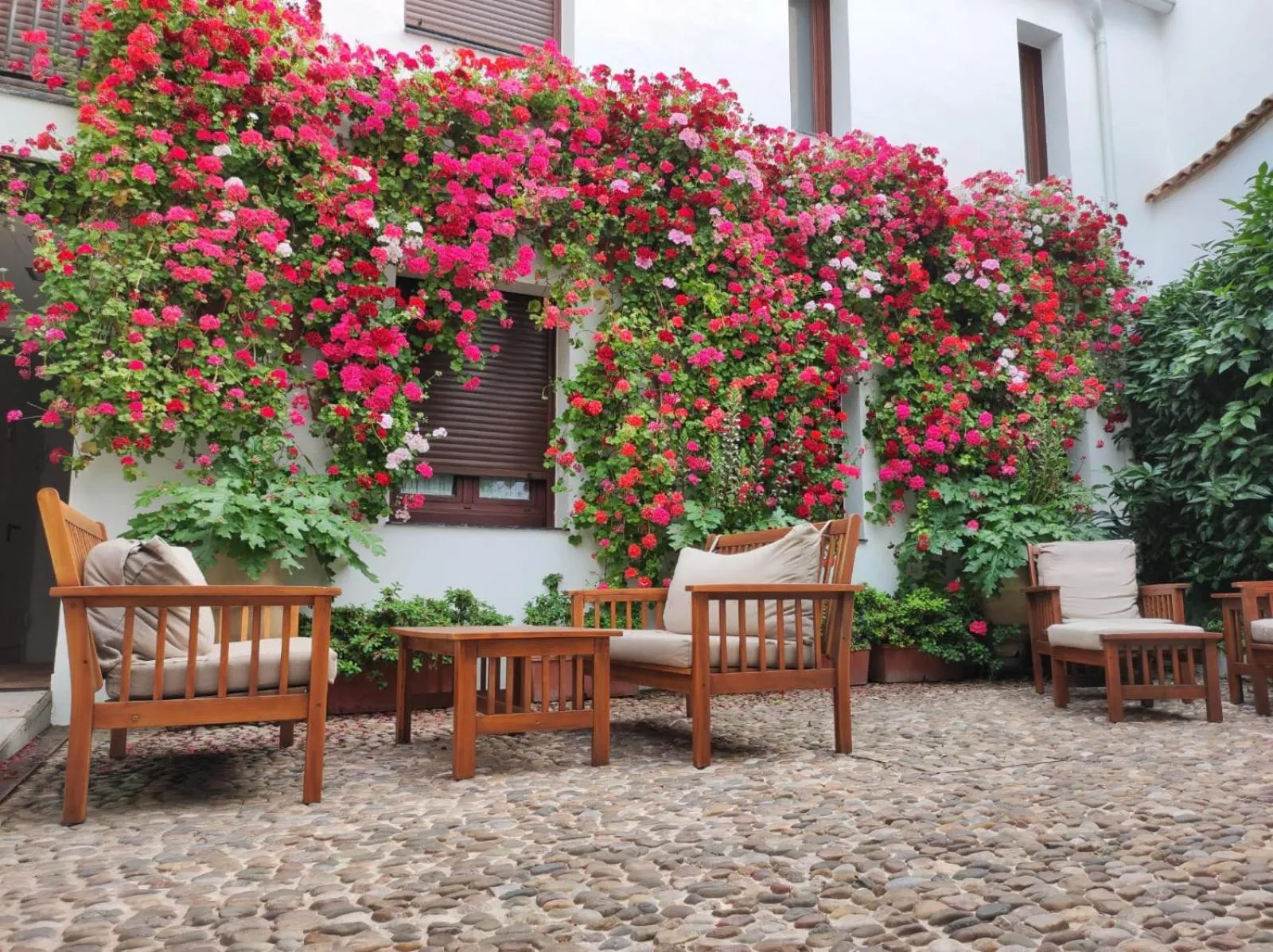 Patio in ALHAJAS DE CORDOBA