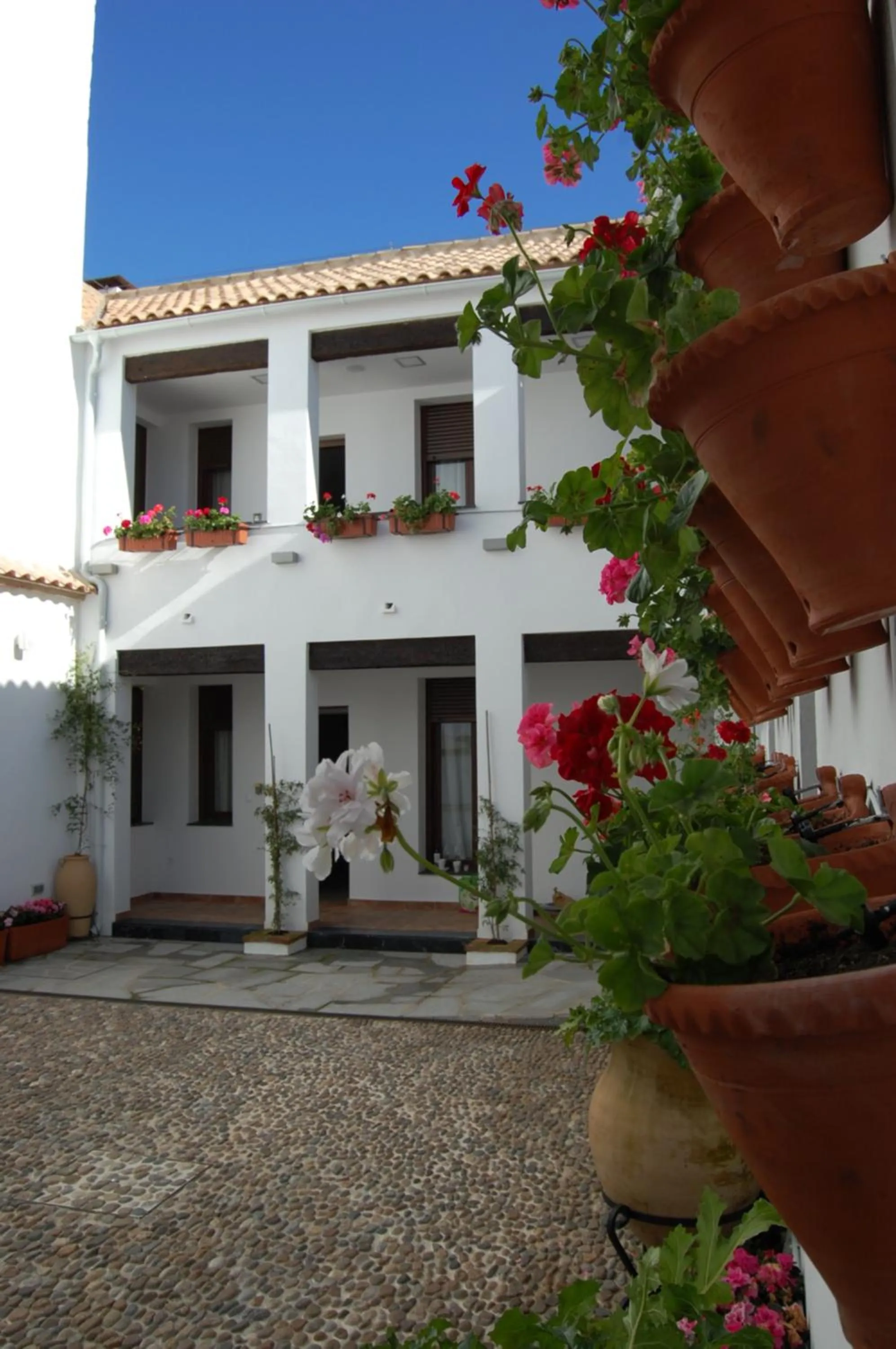 Patio in ALHAJAS DE CORDOBA