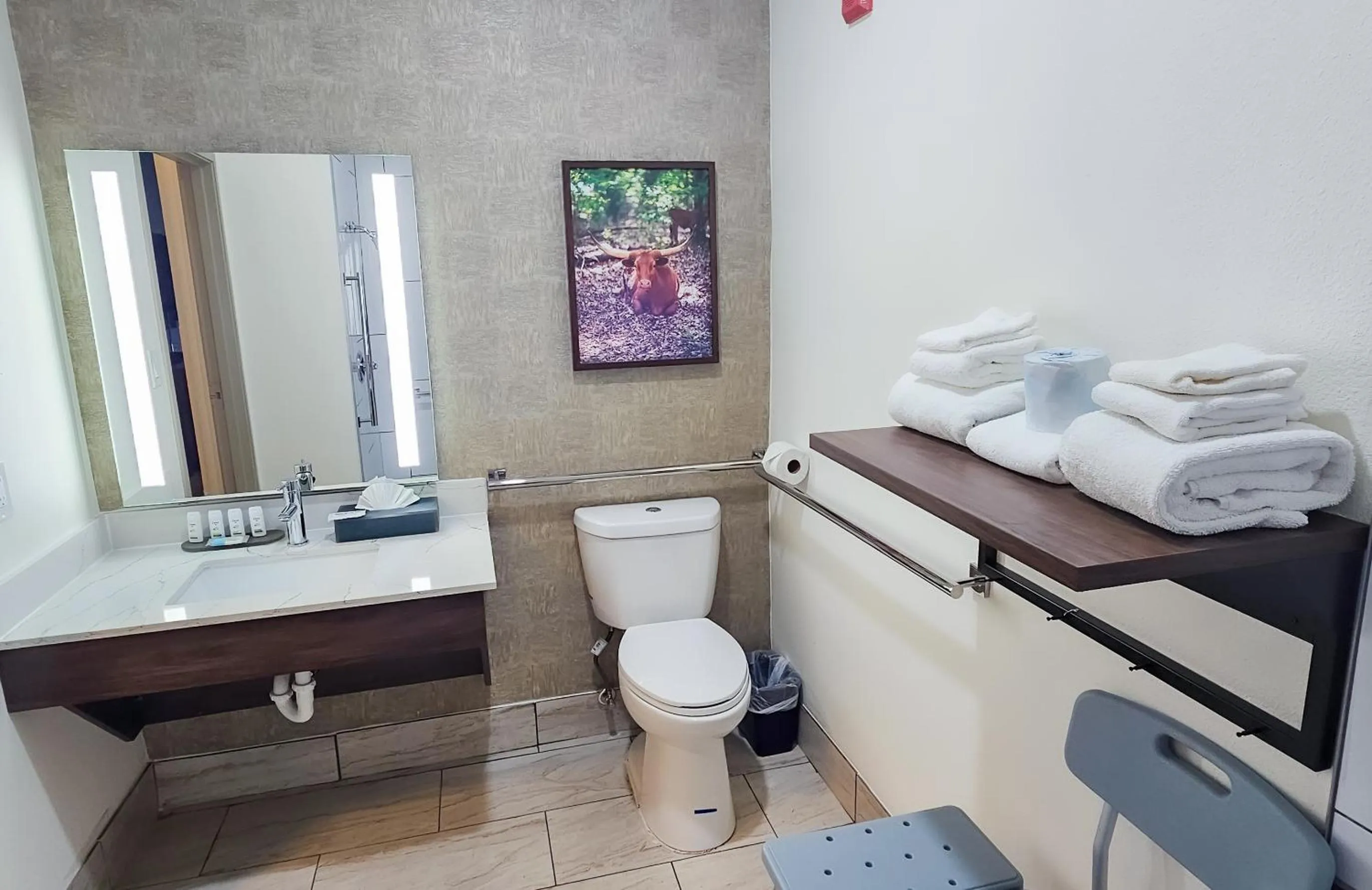 Bathroom, Bed in La Quinta by Wyndham Dallas Mesquite