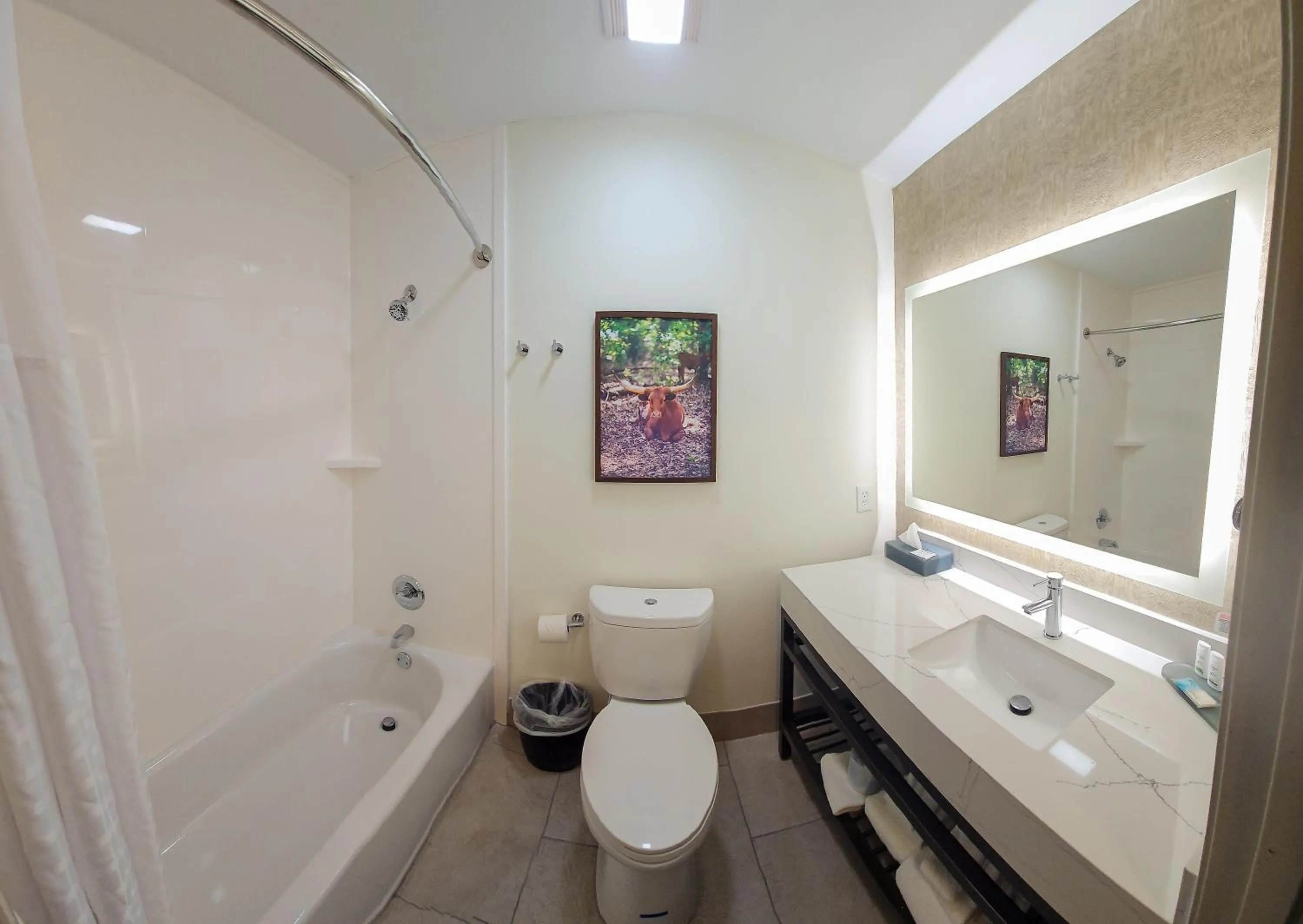 Bathroom in La Quinta by Wyndham Dallas Mesquite
